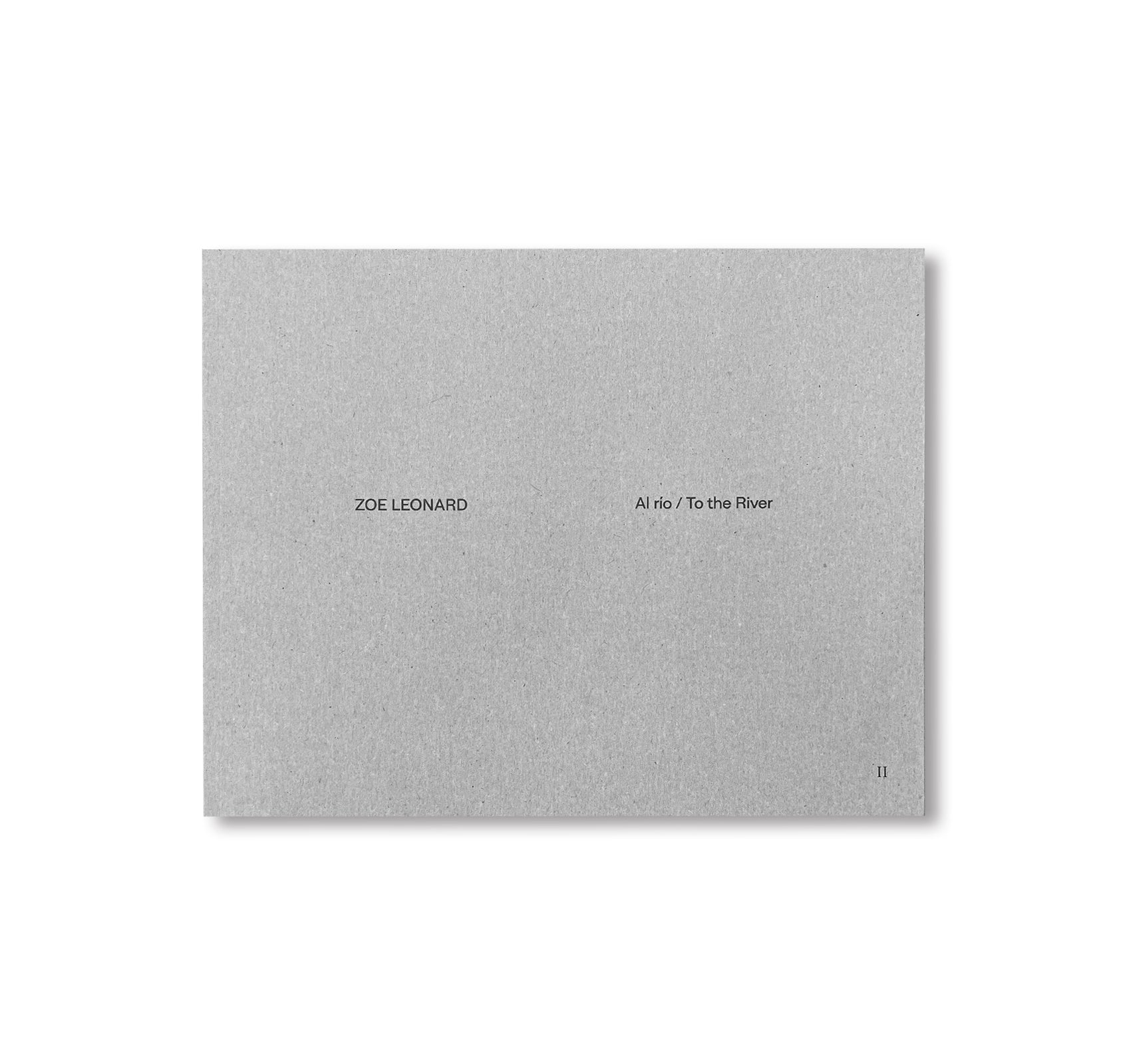AL RÍO / TO THE RIVER by Zoe Leonard