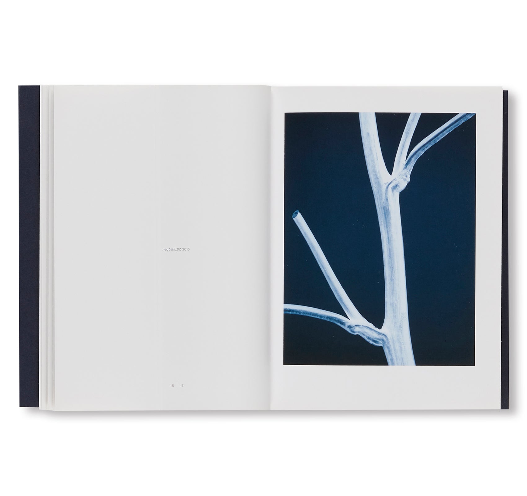 NATURE MORTE by Thomas Ruff