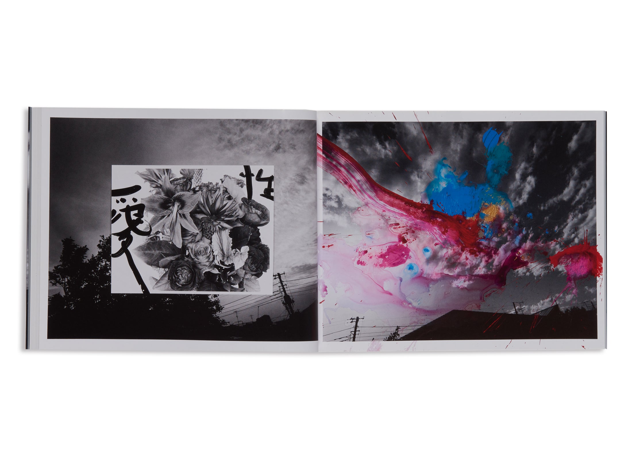 2THESKY MY ENDER by Nobuyoshi Araki