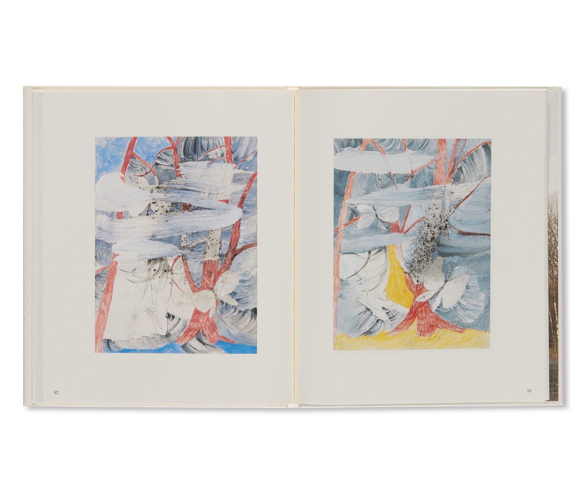 THE MOON, THE WOODS AND THE SNAIL UNDER THE FERN by Kyoko Murase