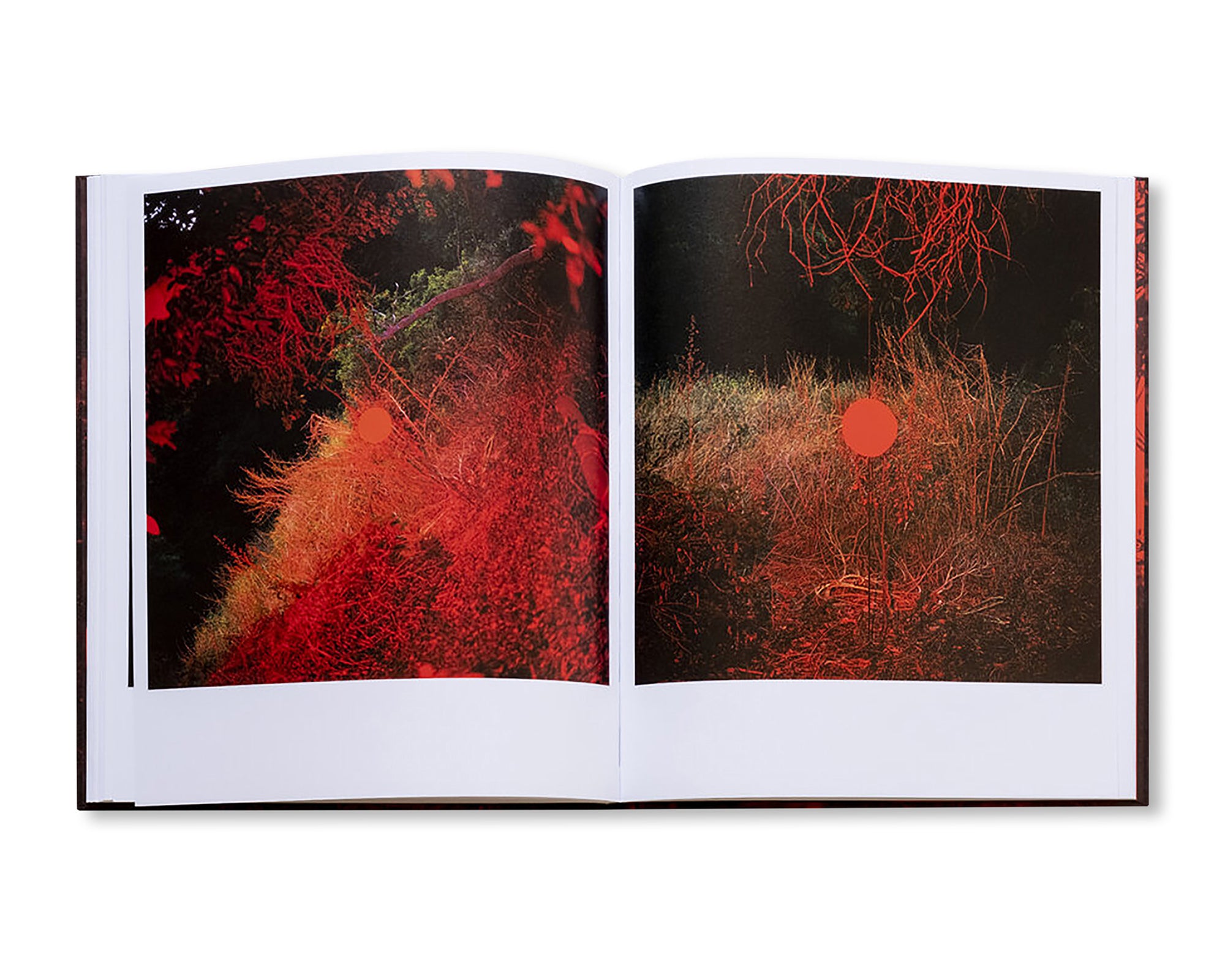 CHROMA by John Divola