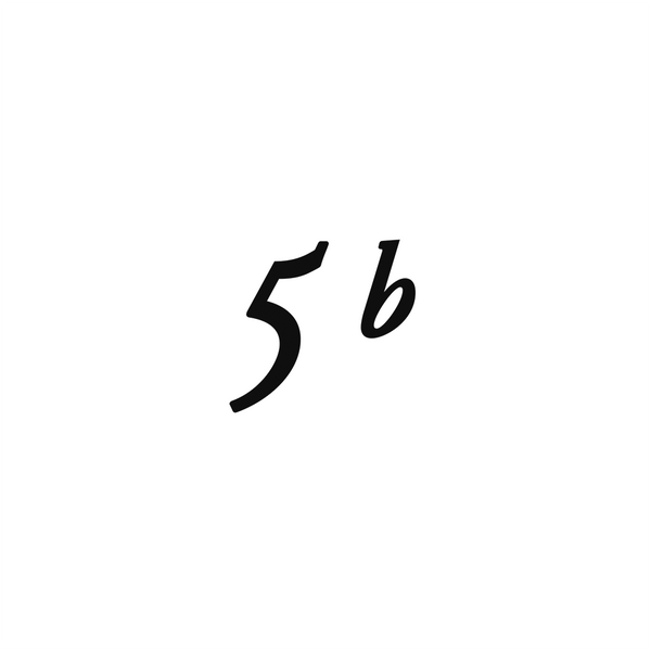 5B