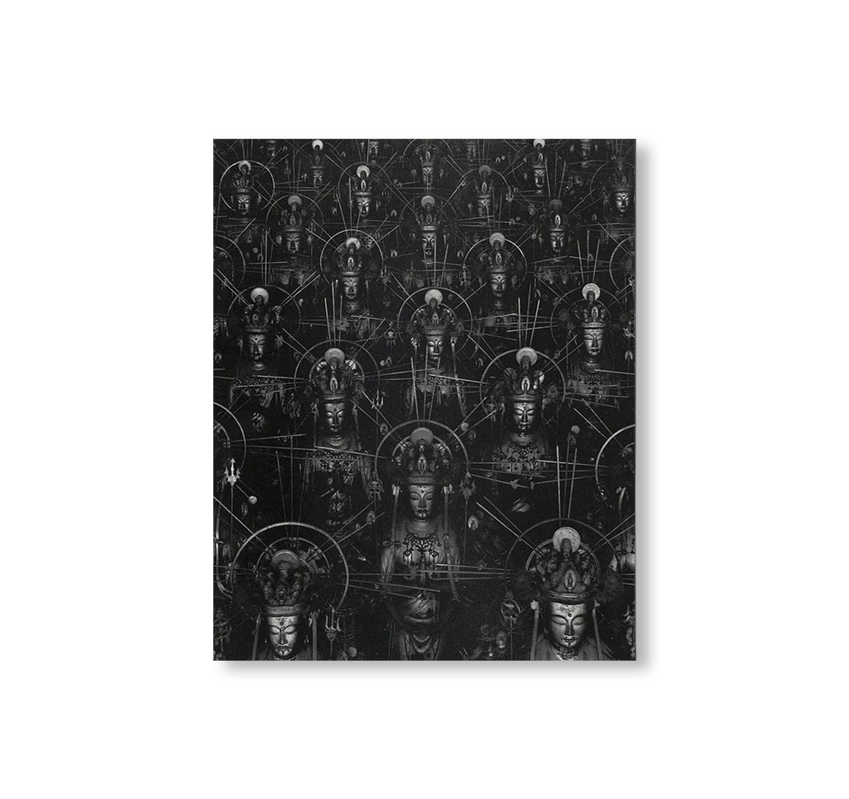 ACCELERATED BUDDHA by Hiroshi Sugimoto [FRENCH EDITION]