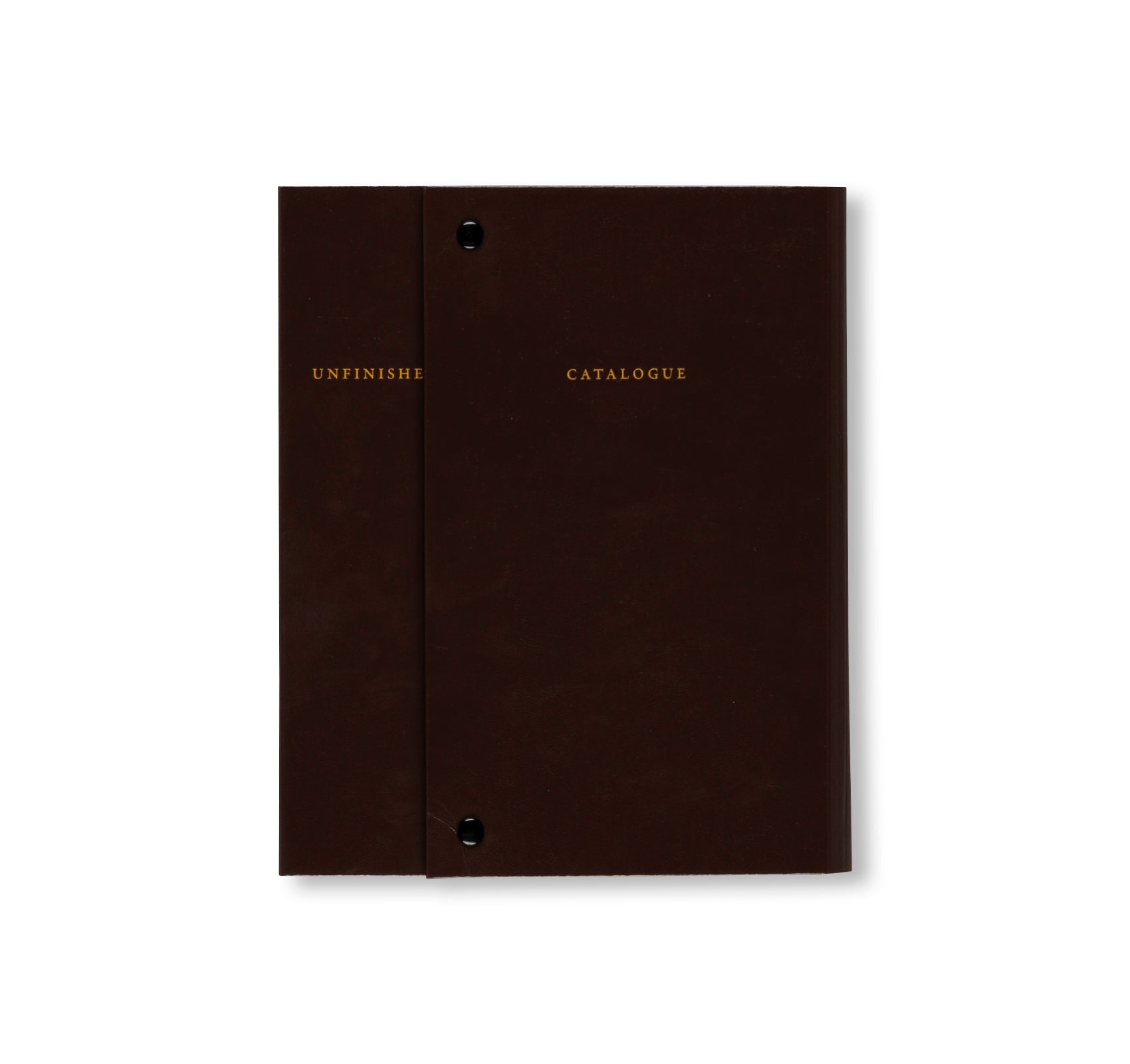 CATALOGUE RAISONNÉ OF THE UNFINISHED by Sophie Calle