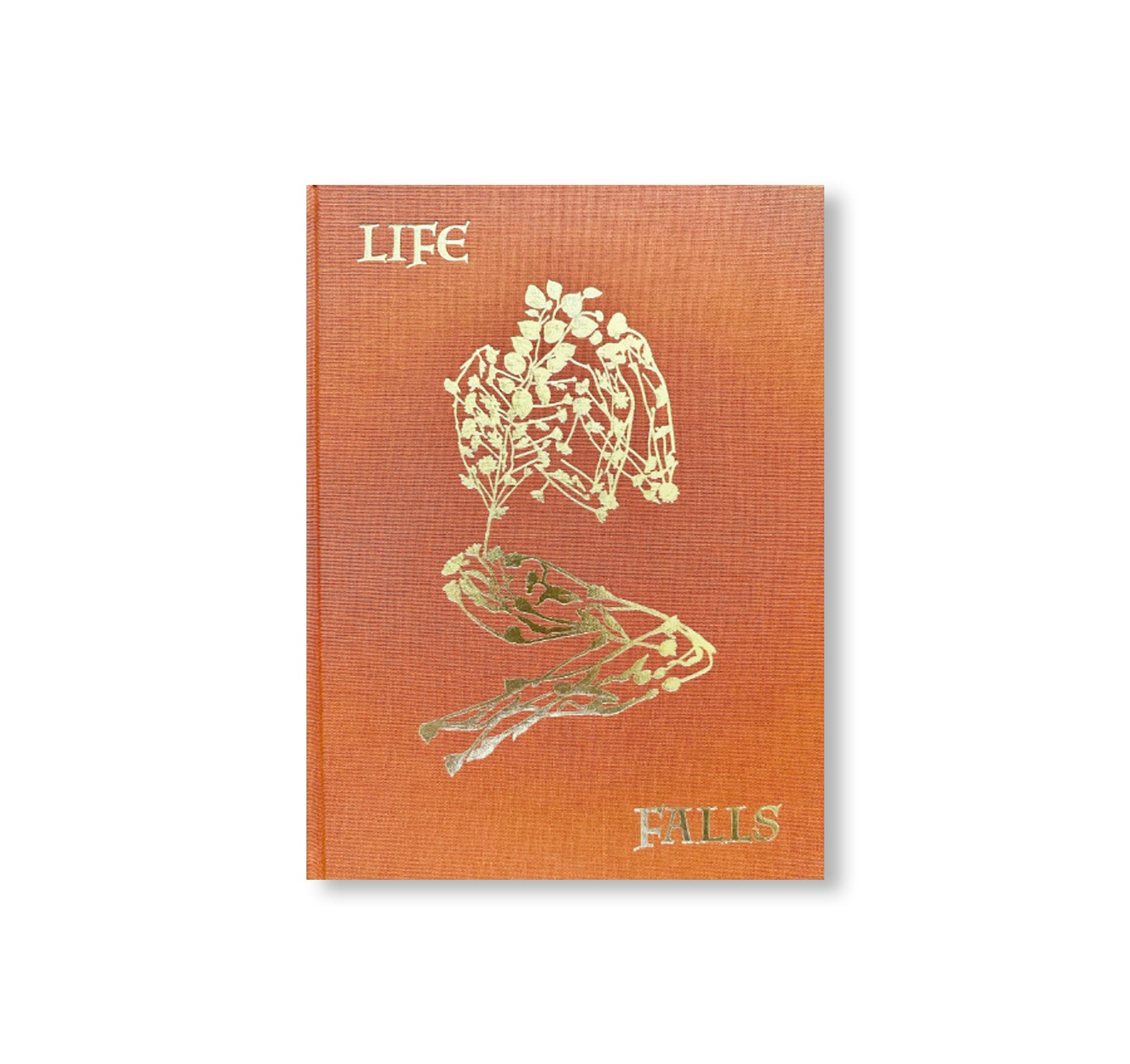 AFTER LIFE by Sam Falls