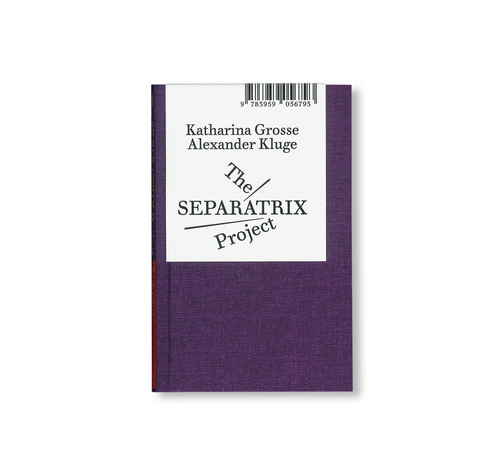 THE SEPARATRIX PROJECT by Alexander Kluge, Katharina Grosse