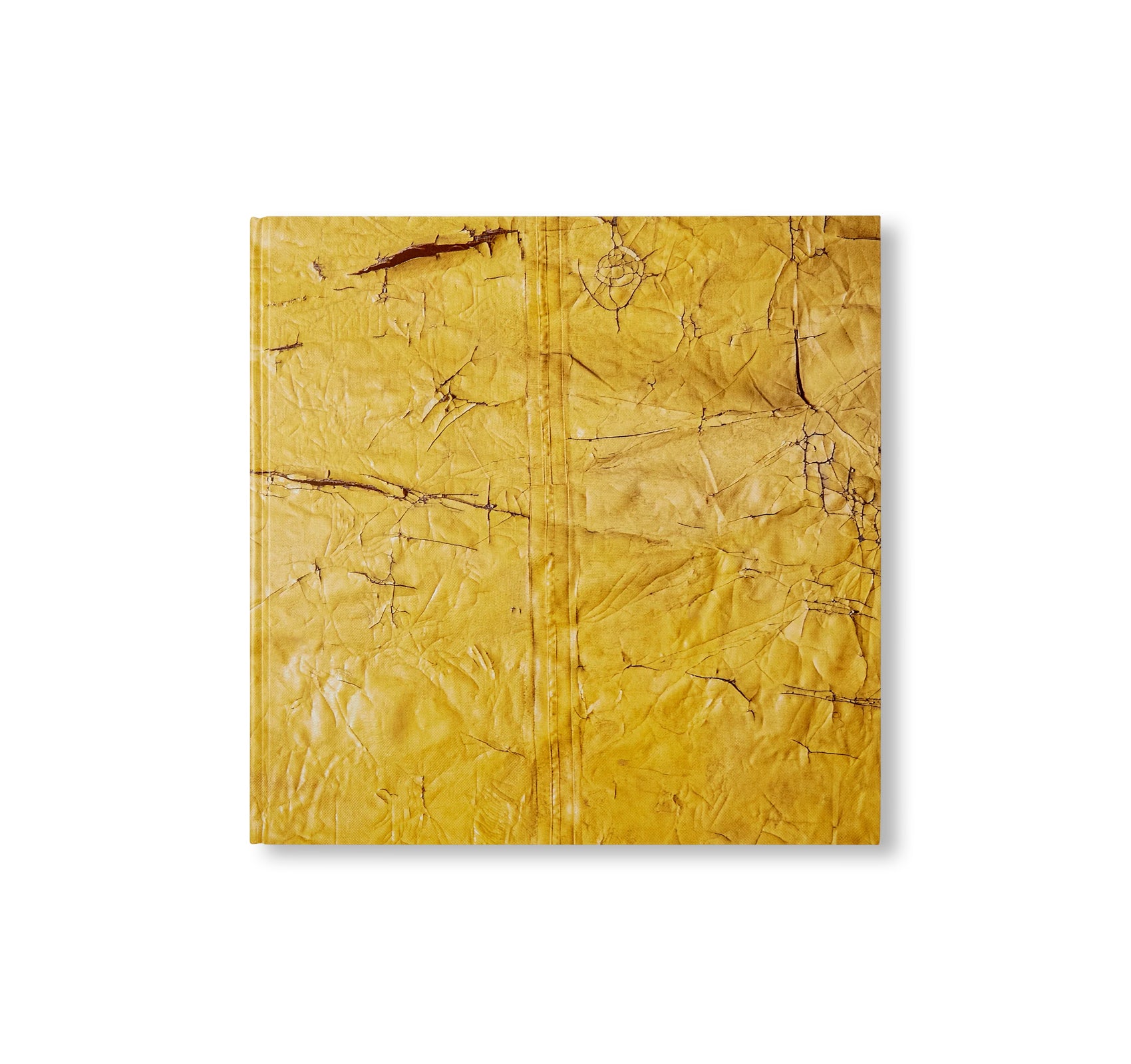 DAVID HAMMONS by David Hammons (HAUSER & WIRTH)