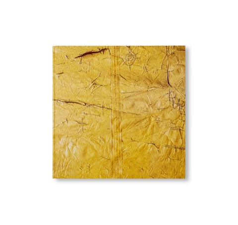 DAVID HAMMONS by David Hammons (HAUSER & WIRTH)