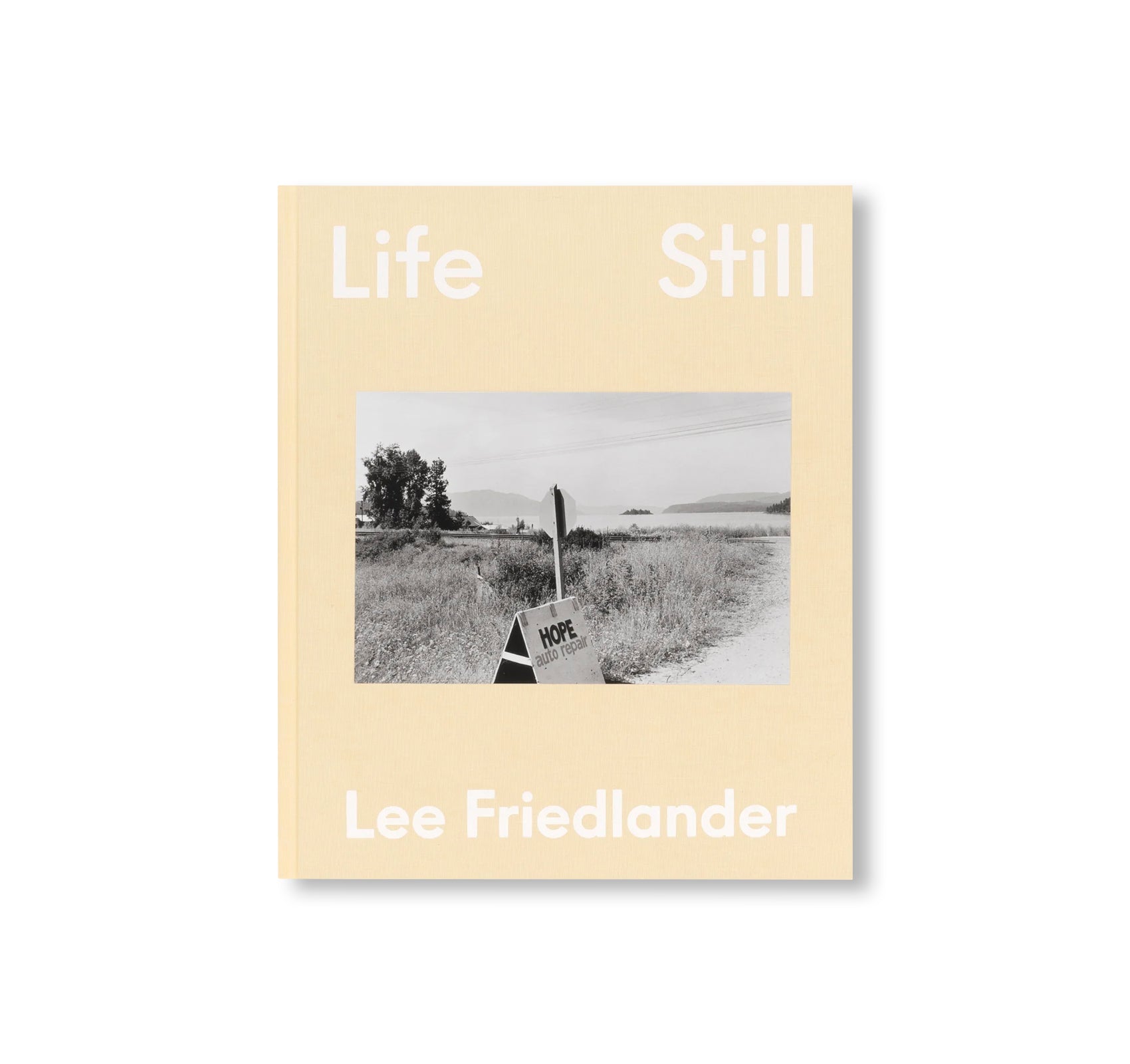 LIFE STILL by Lee Friedlander