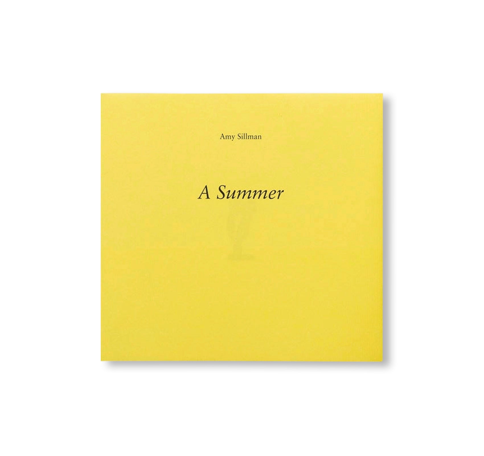 A SUMMER by Amy Sillman