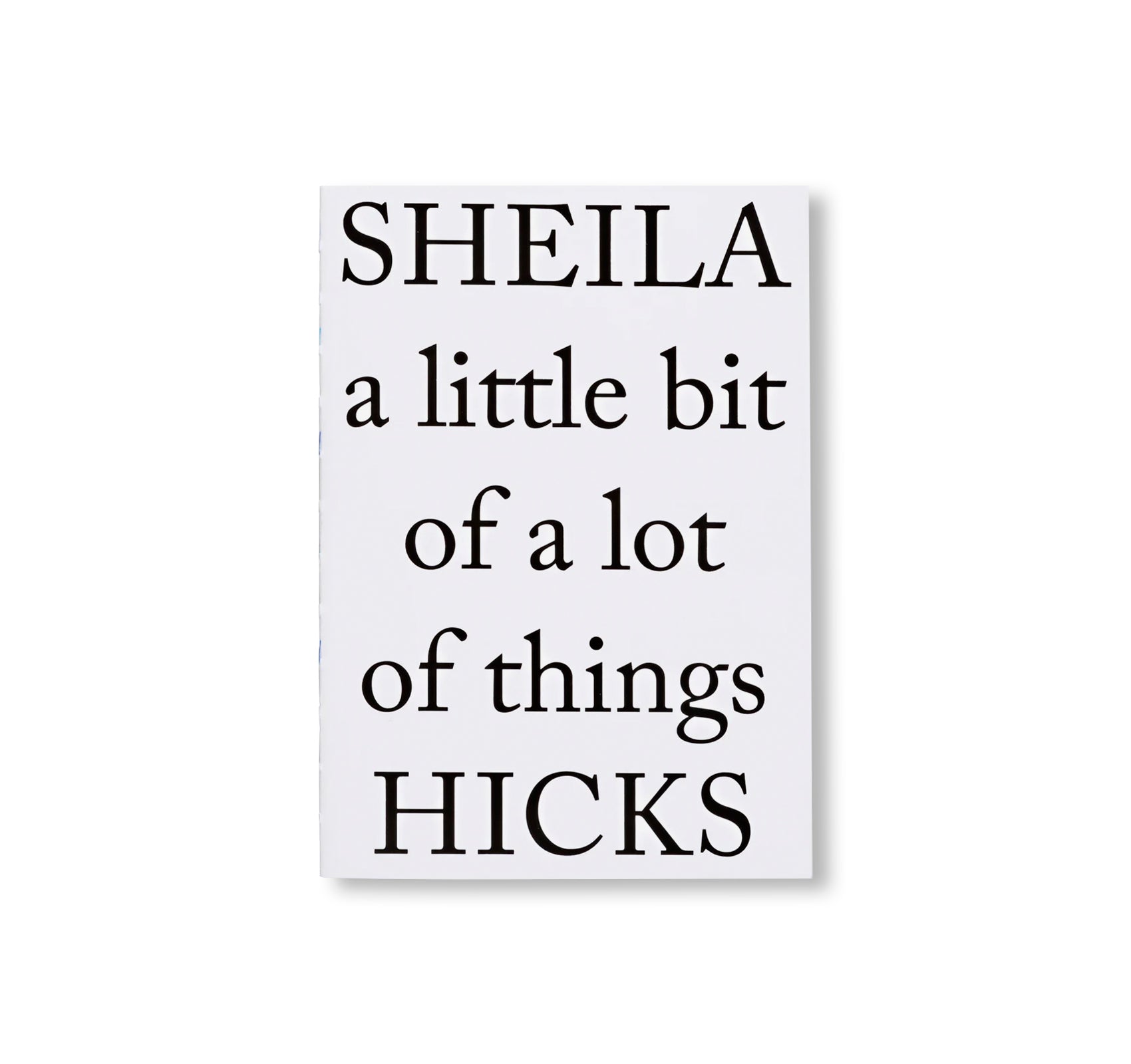 A LITTLE BIT OF A LOT OF THINGS by Sheila Hicks