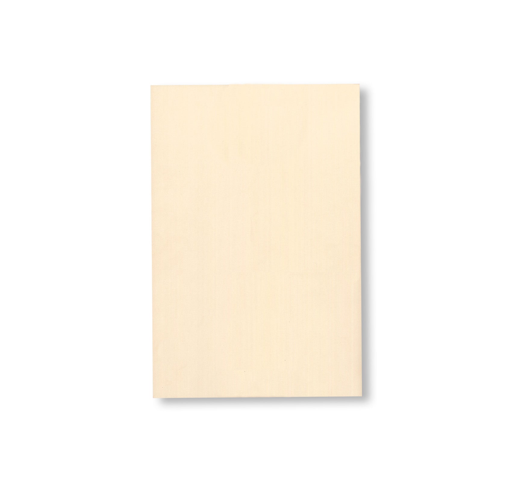 BAD RABBIT by Christopher Wool [SIGNED]