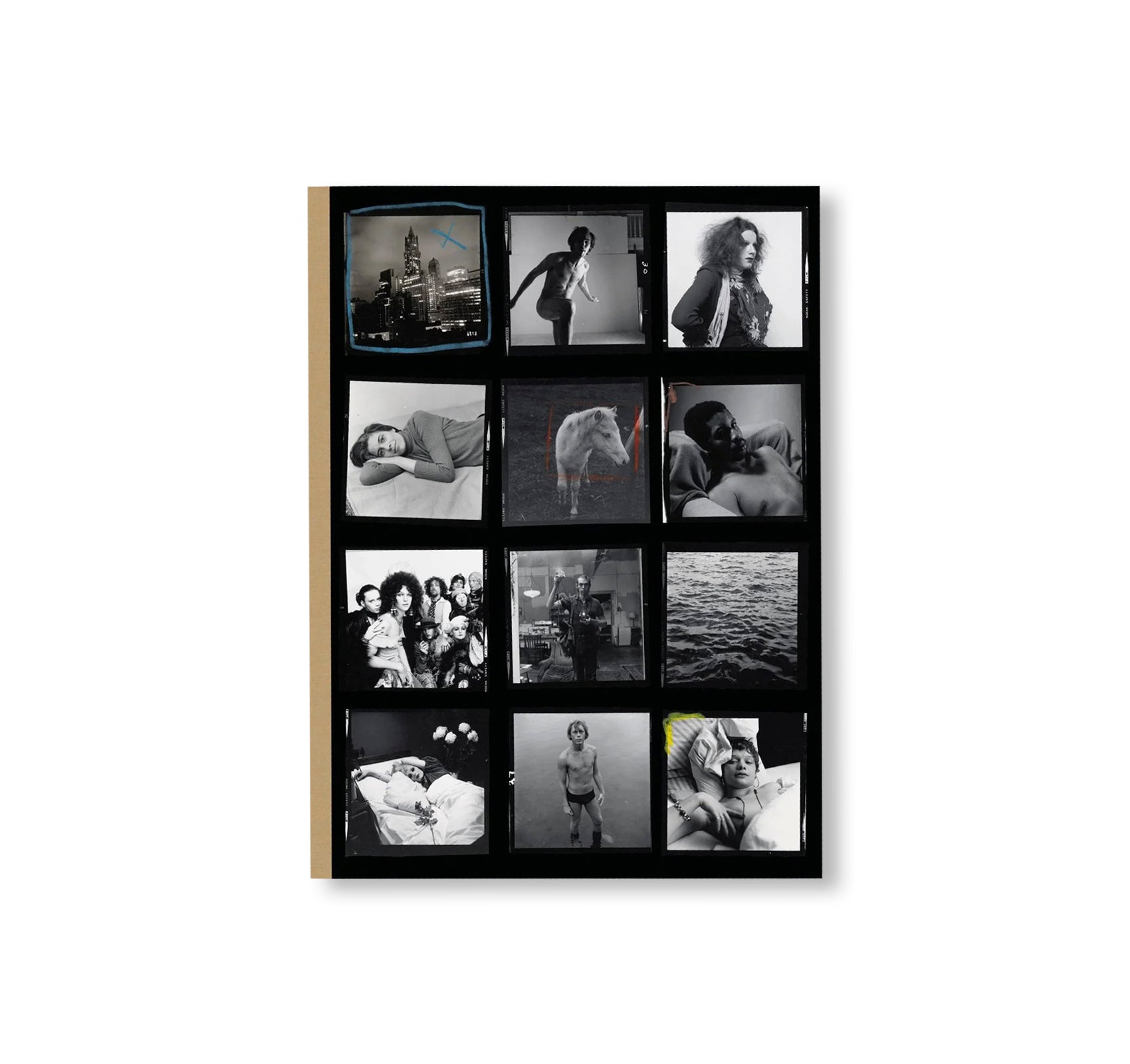 HUJAR: CONTACT by Peter Hujar