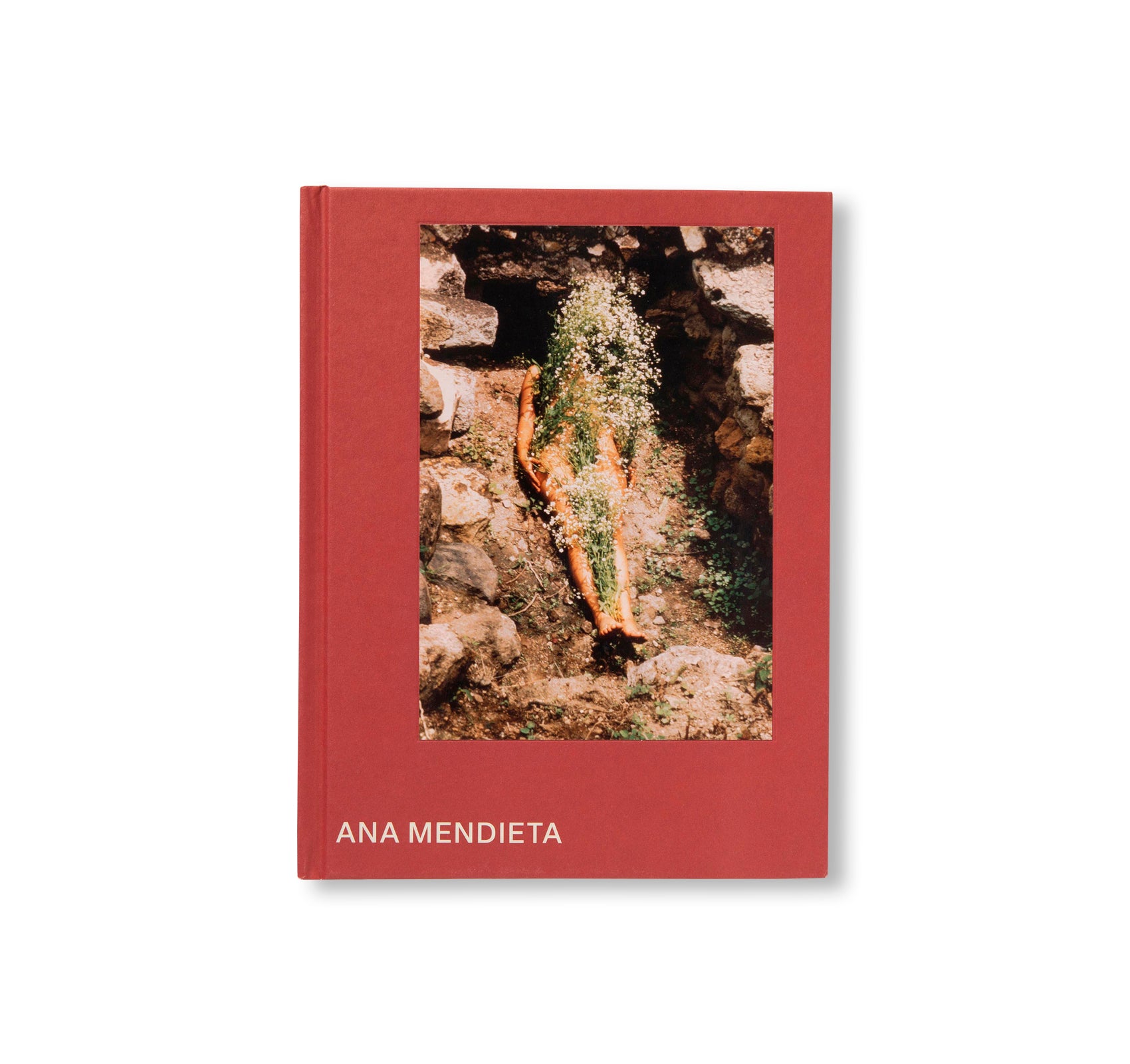 ANA MENDIETA by Ana Mendieta (TATE PUBLISHING)
