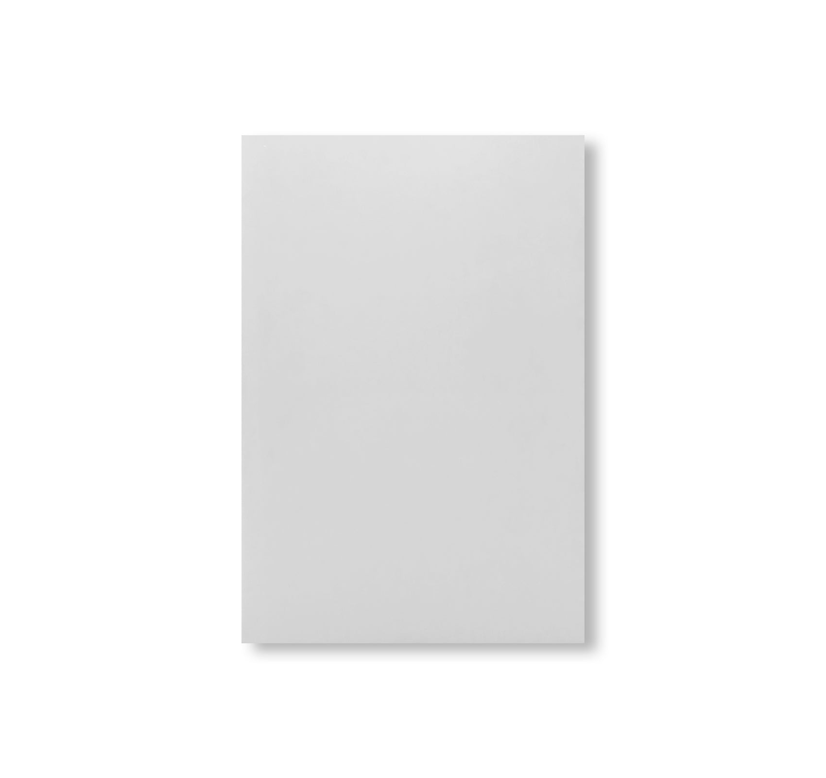 WESTTEXASPSYCHOSCULPTURE by Christopher Wool [SIGNED]