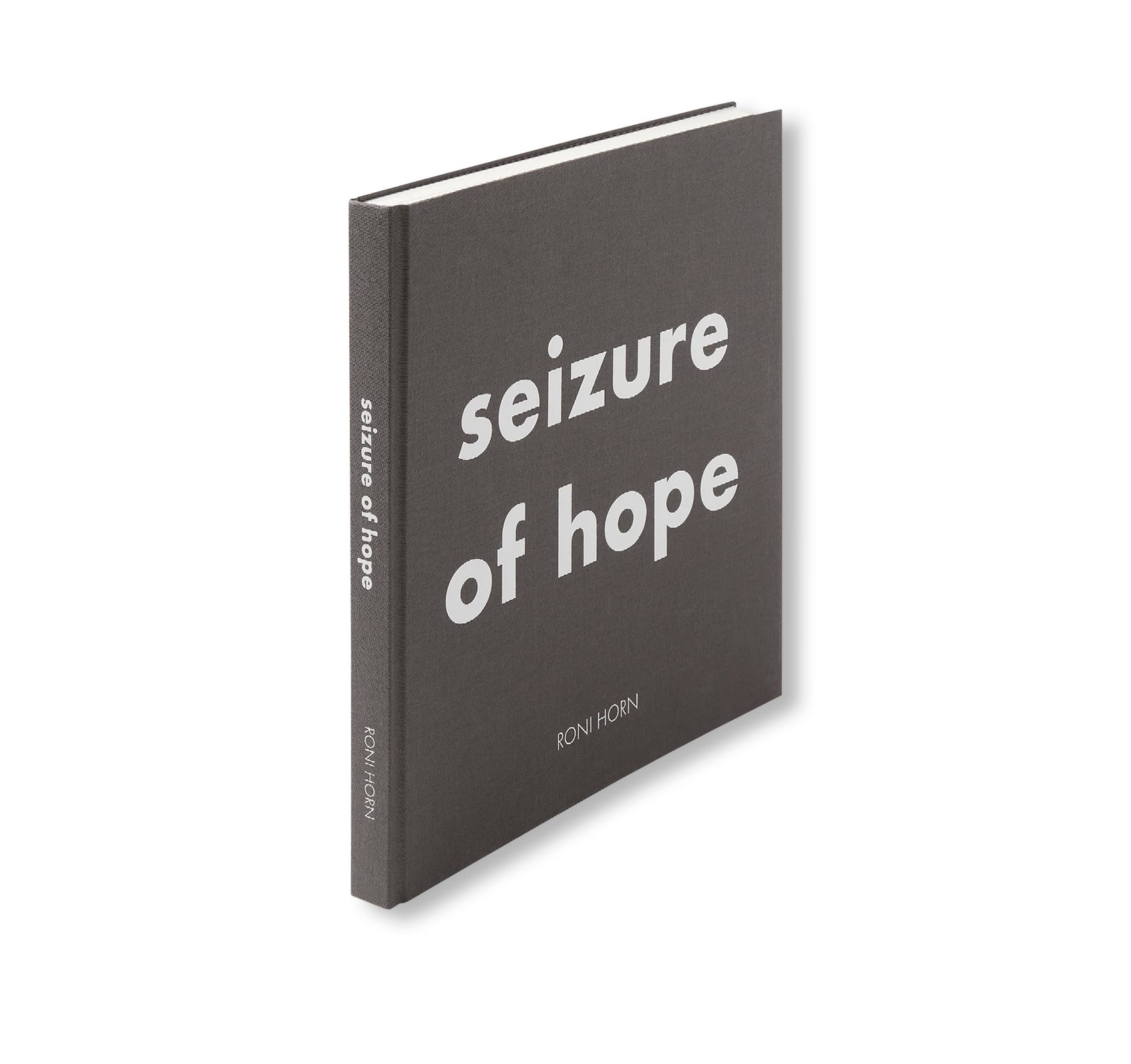 SEIZURE OF HOPE by Roni Horn