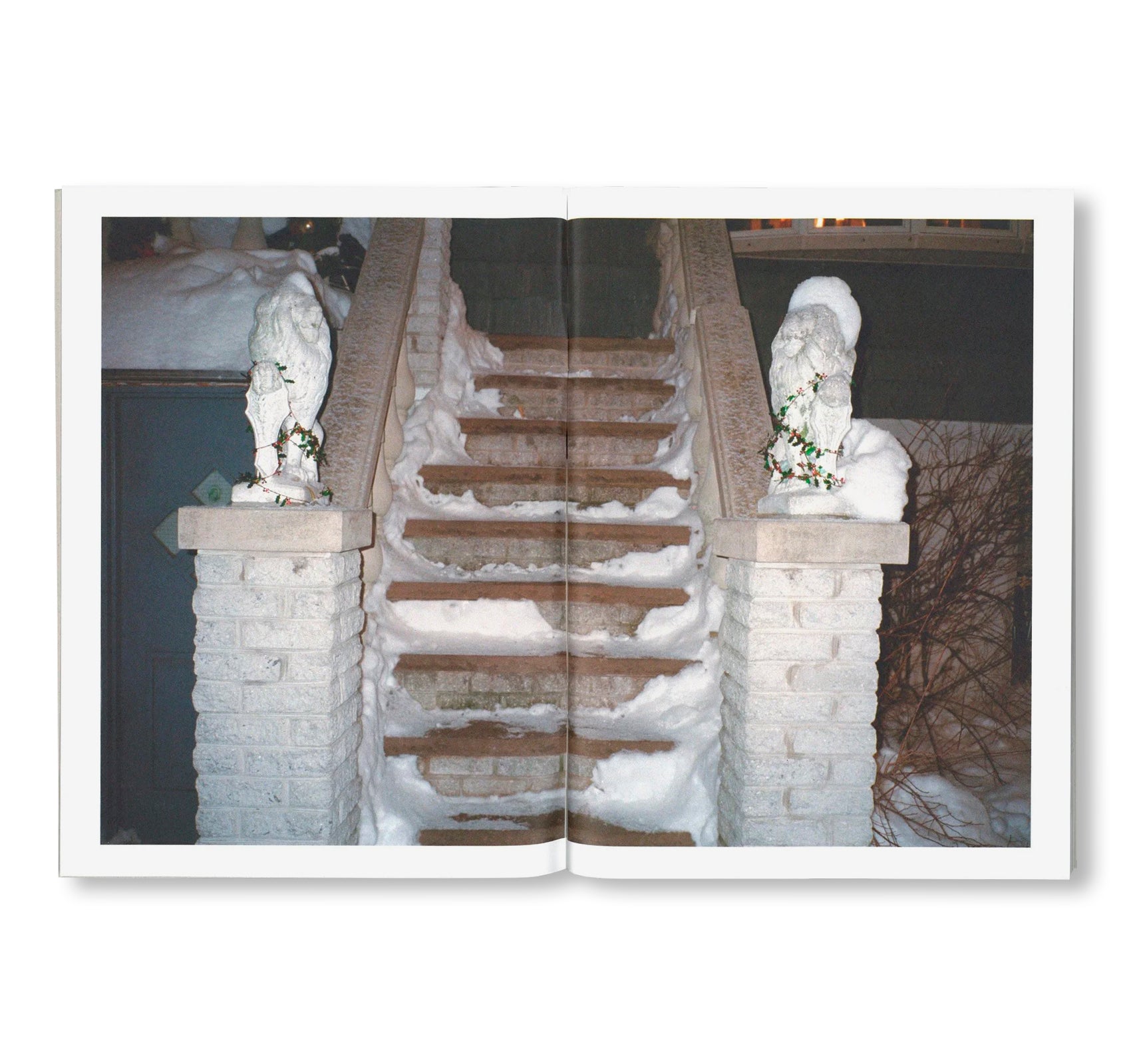 WINTER by Todd Fisher