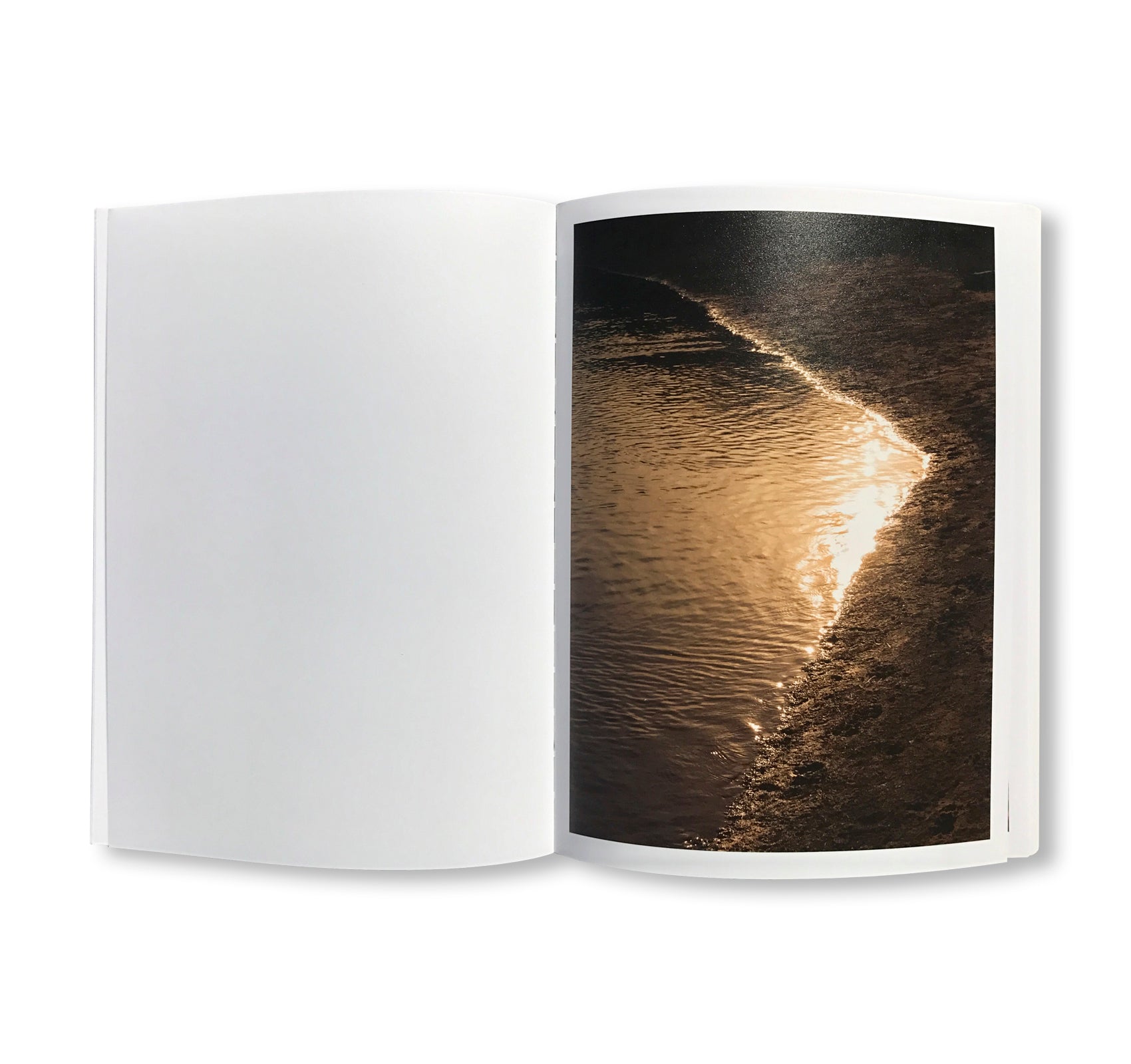 THE TRANSVERSE PATH (OR NATURE'S LITTLE SECRET) by Mike Slack