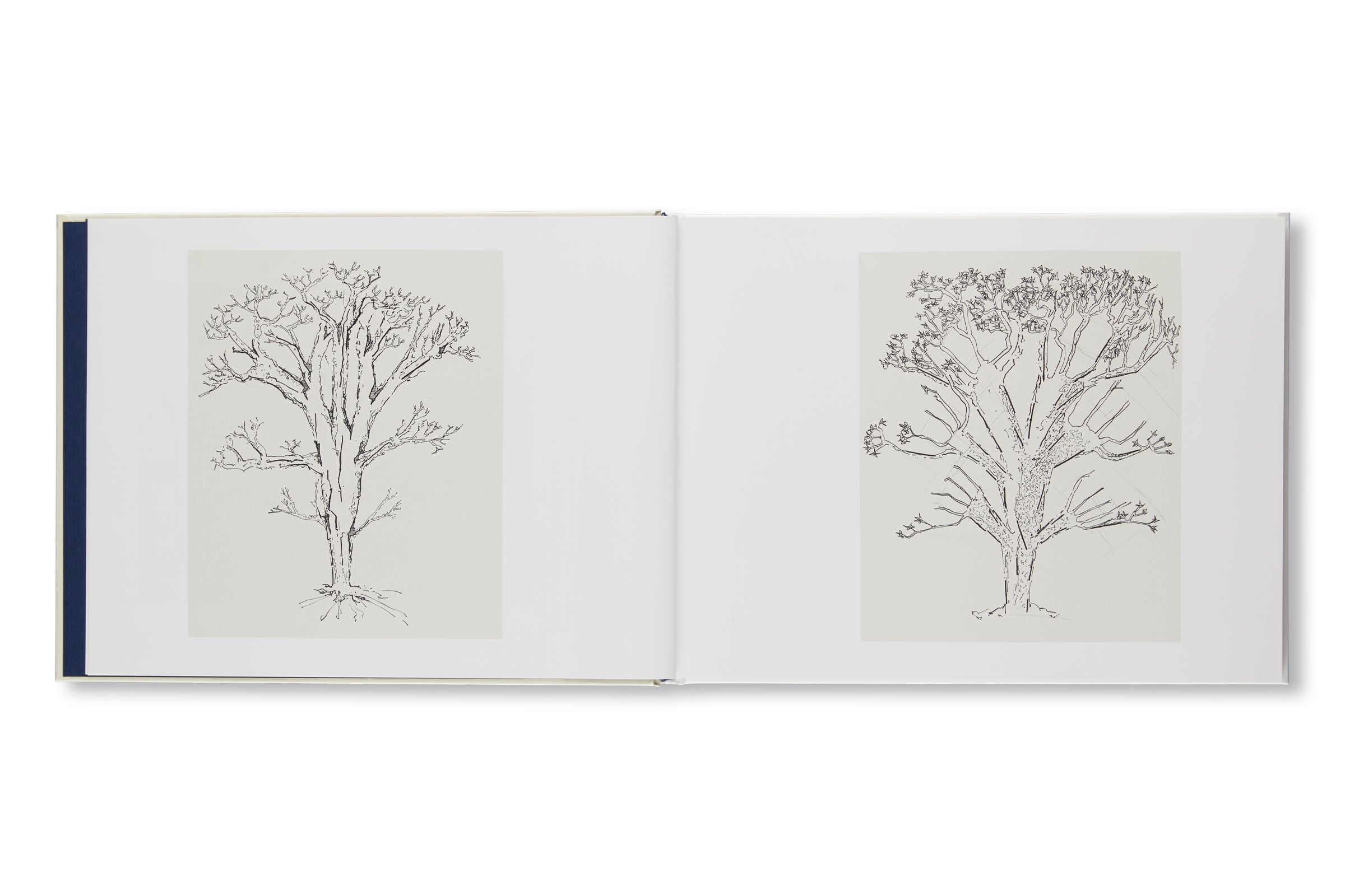 THE BEGINNING OF TREES AND THE END: DRAWINGS AND NOTEBOOKS by Gordon Matta-Clark