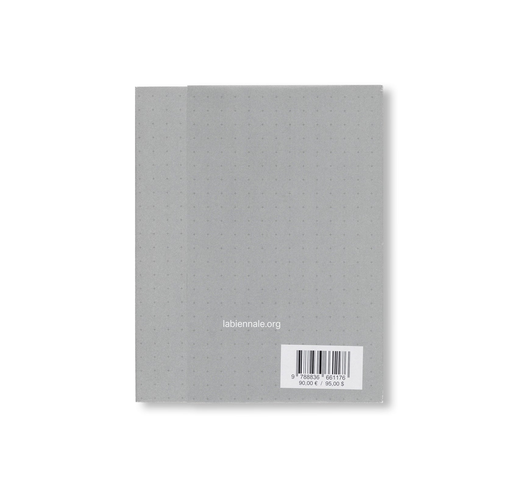 BIENNALE ARCHITETTURA 2025: INTELLIGENS. NATURAL. ARTIFICIAL. COLLECTIVE.