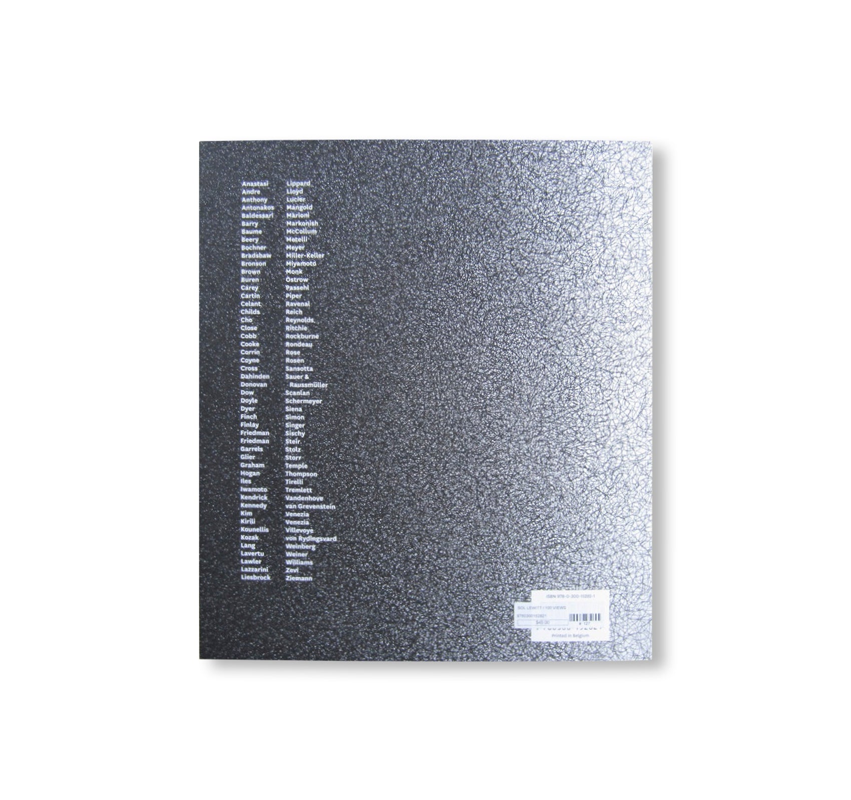 SOL LEWITT 100 VIEWS by Sol LeWitt