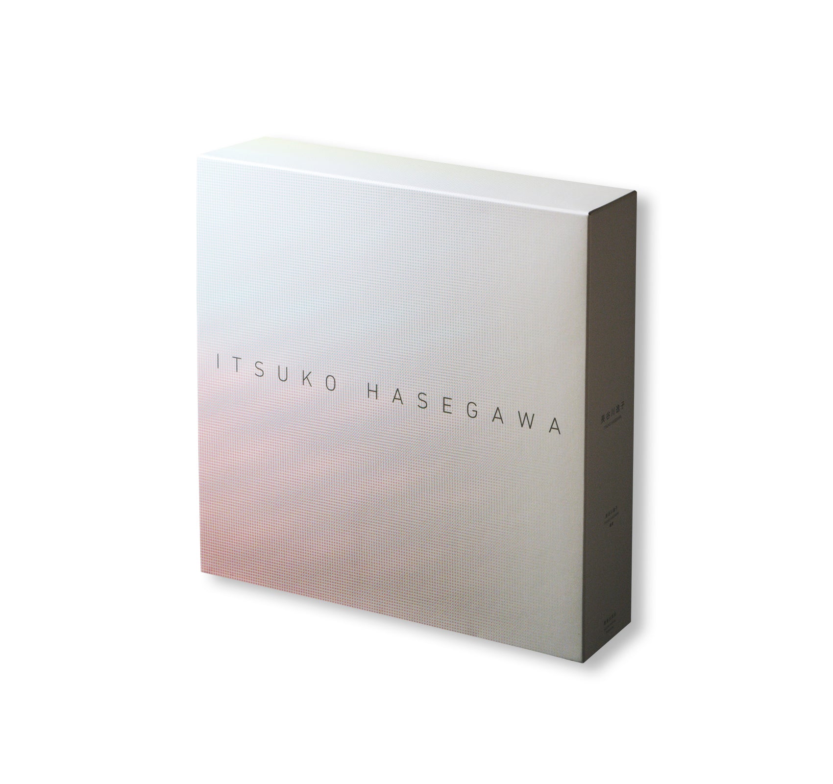ITSUKO HASEGAWA SECTION 1-3 by Itsuko Hasegawa