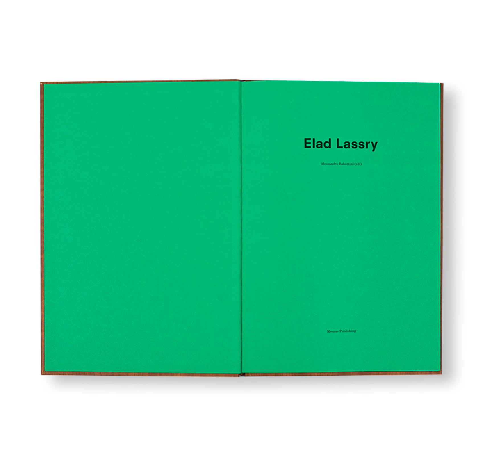 ELAD LASSRY (2014) by Elad Lassry