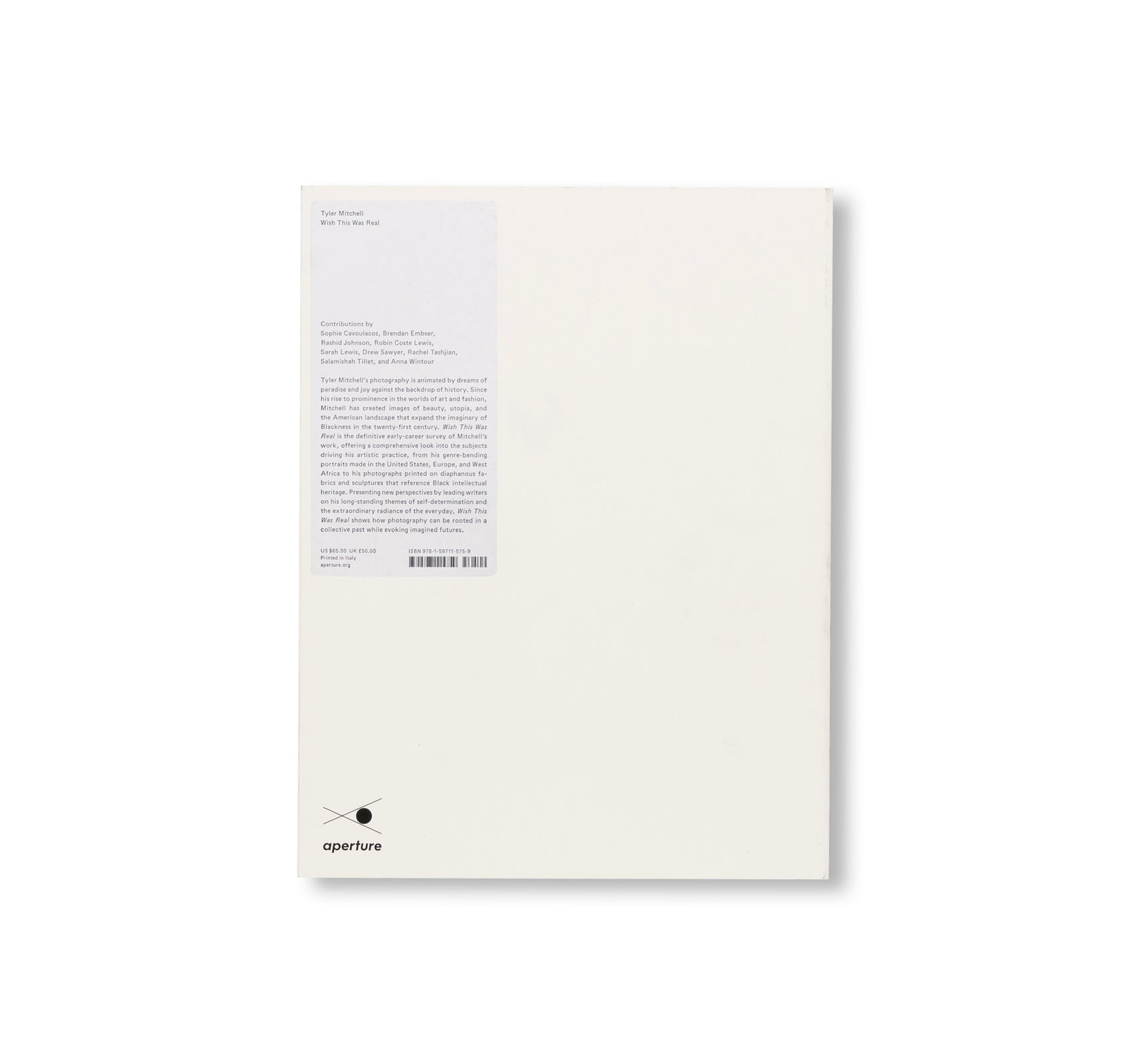 WISH THIS WAS REAL by Tyler Mitchell