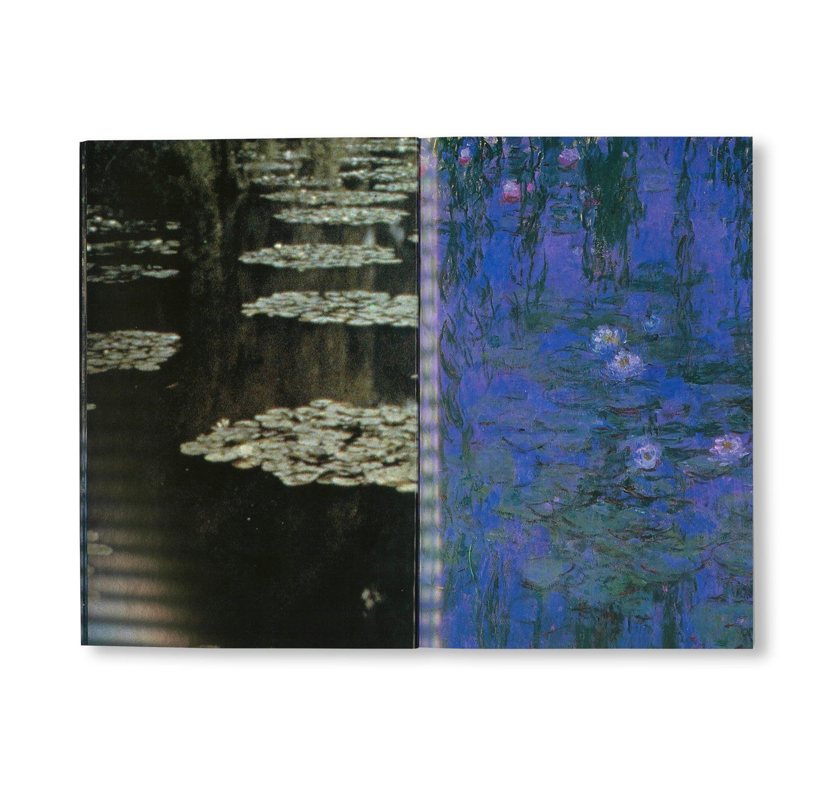 MONET: THE ULTIMATE IMPRESSIONIST (NEW HORIZONS) by Sylvie Patin