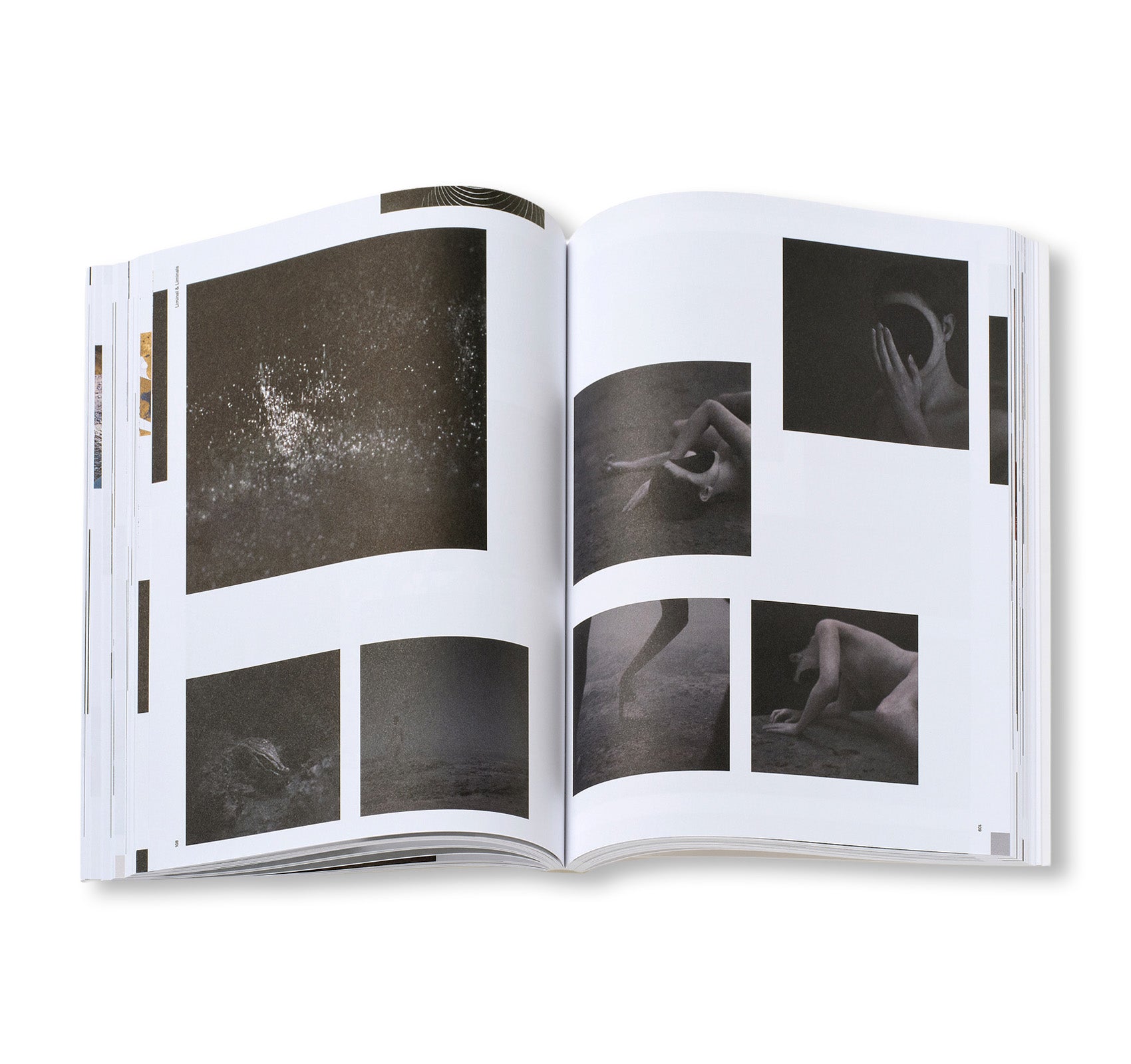 PIERRE HUYGHE by Pierre Huyghe (HATJE CANTZ)