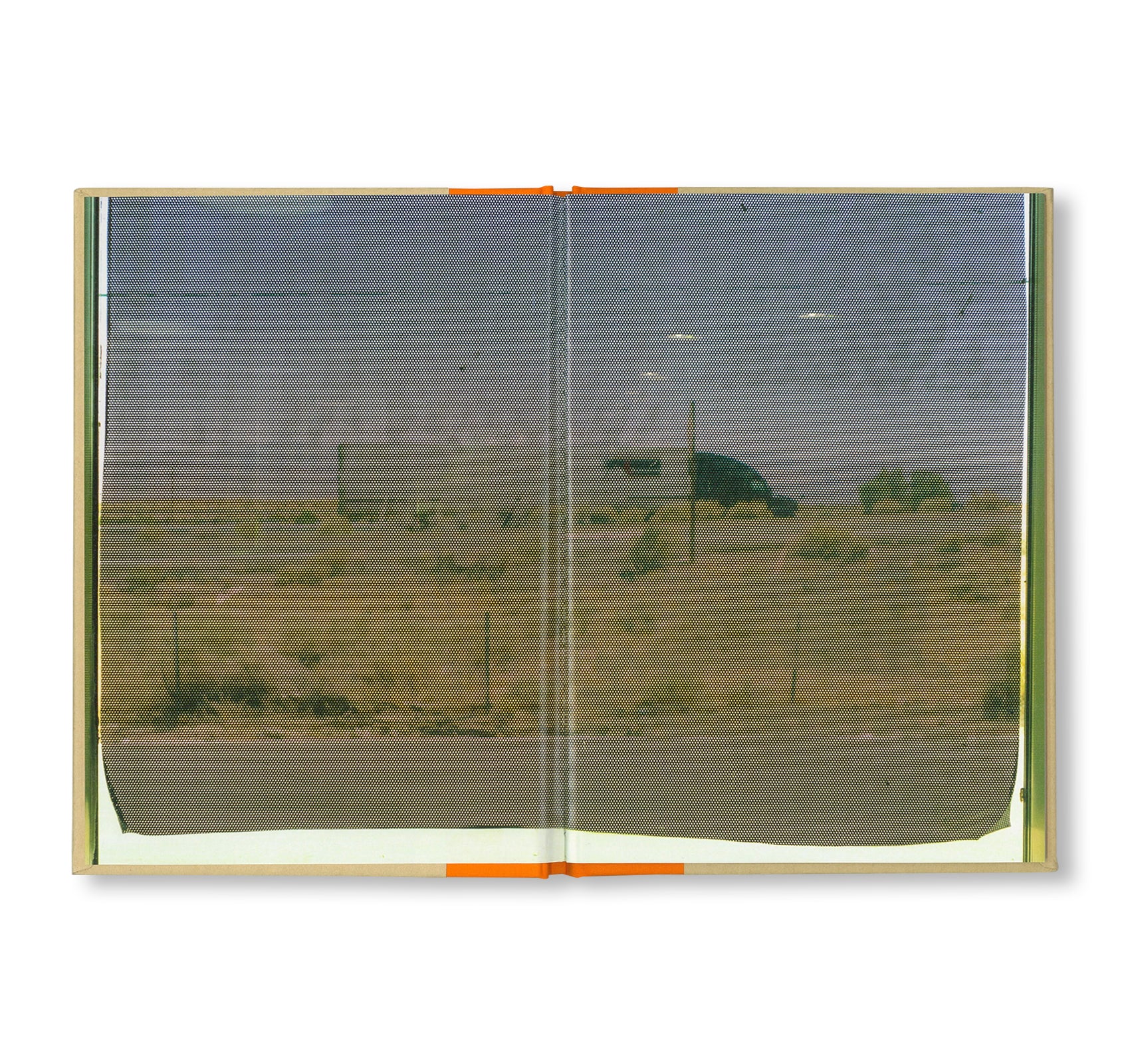 ONE PICTURE BOOK TWO #51: DESERT DAZE by Yoko Ikeda [SALE]