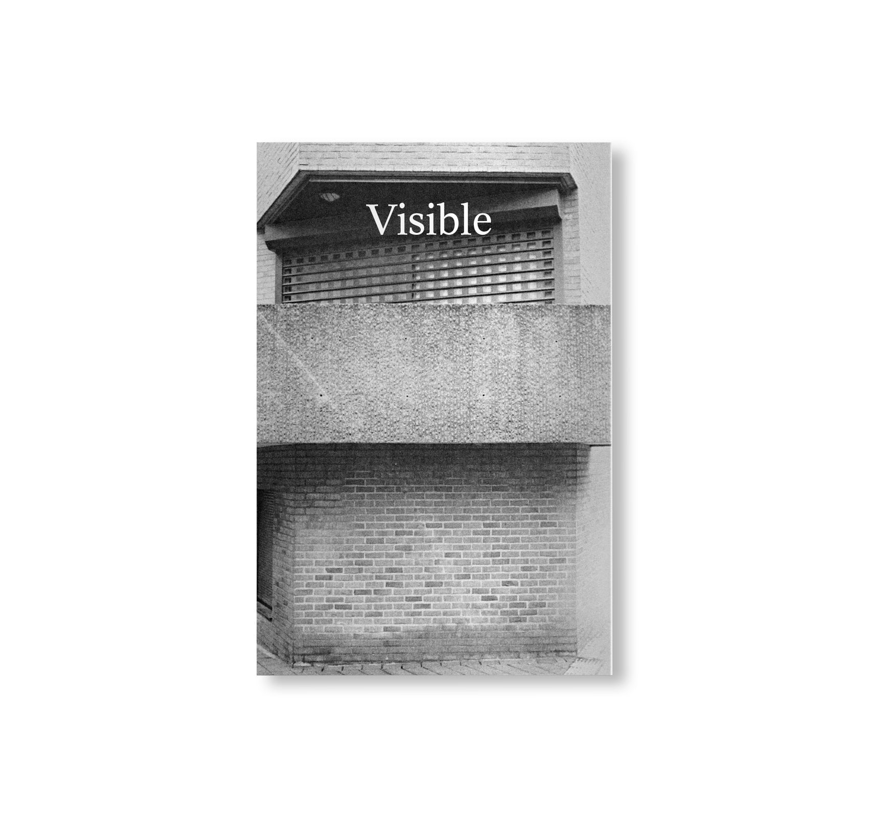 OTHER THINGS VISIBLE by Michel Mazzoni