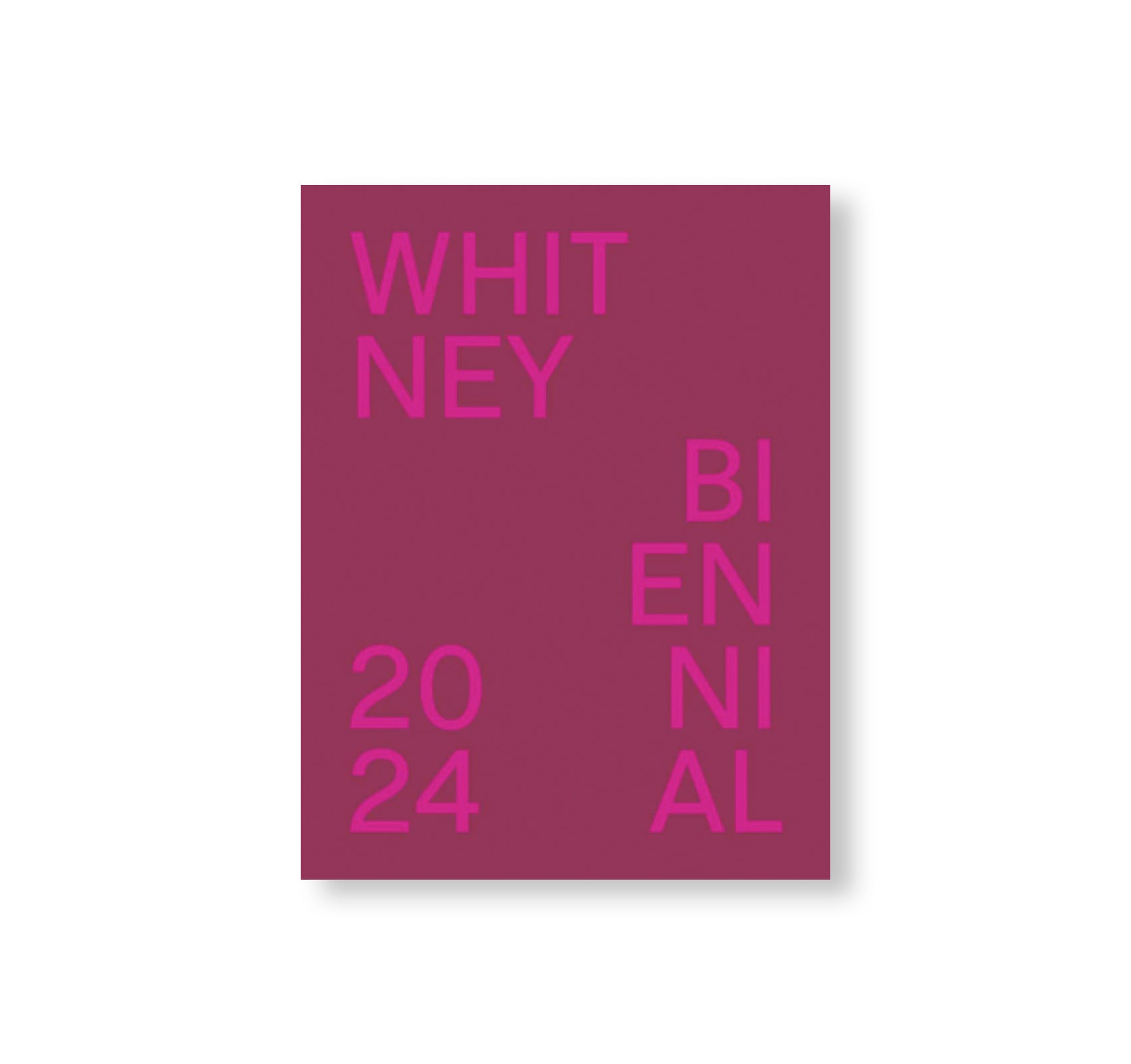 WHITNEY BIENNIAL 2024: EVEN BETTER THAN THE REAL THING