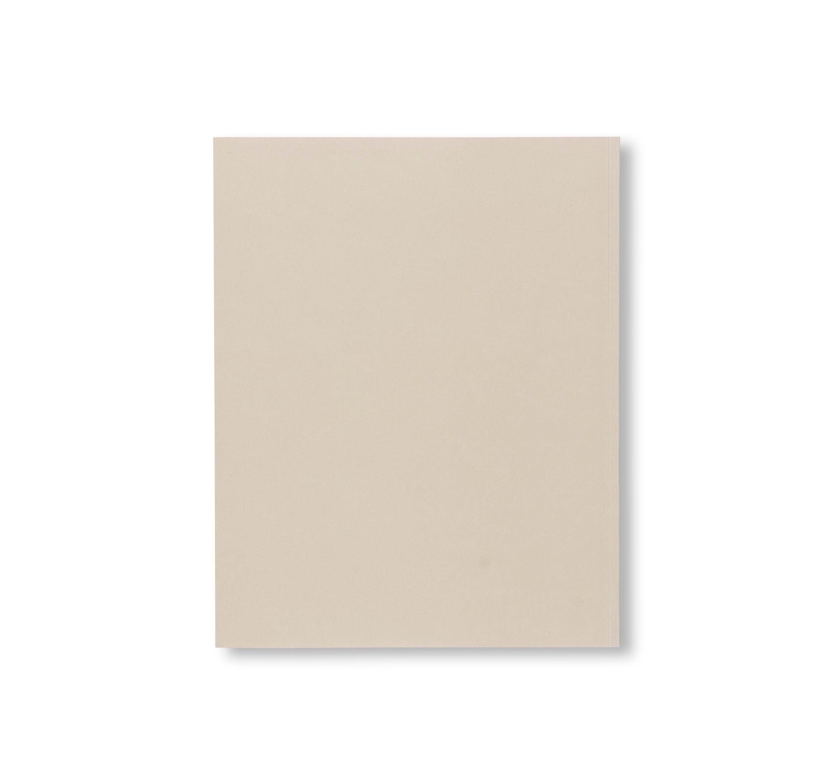 ZEICHNUNGEN / DRAWINGS 1960-2002 by Richard Artschwager