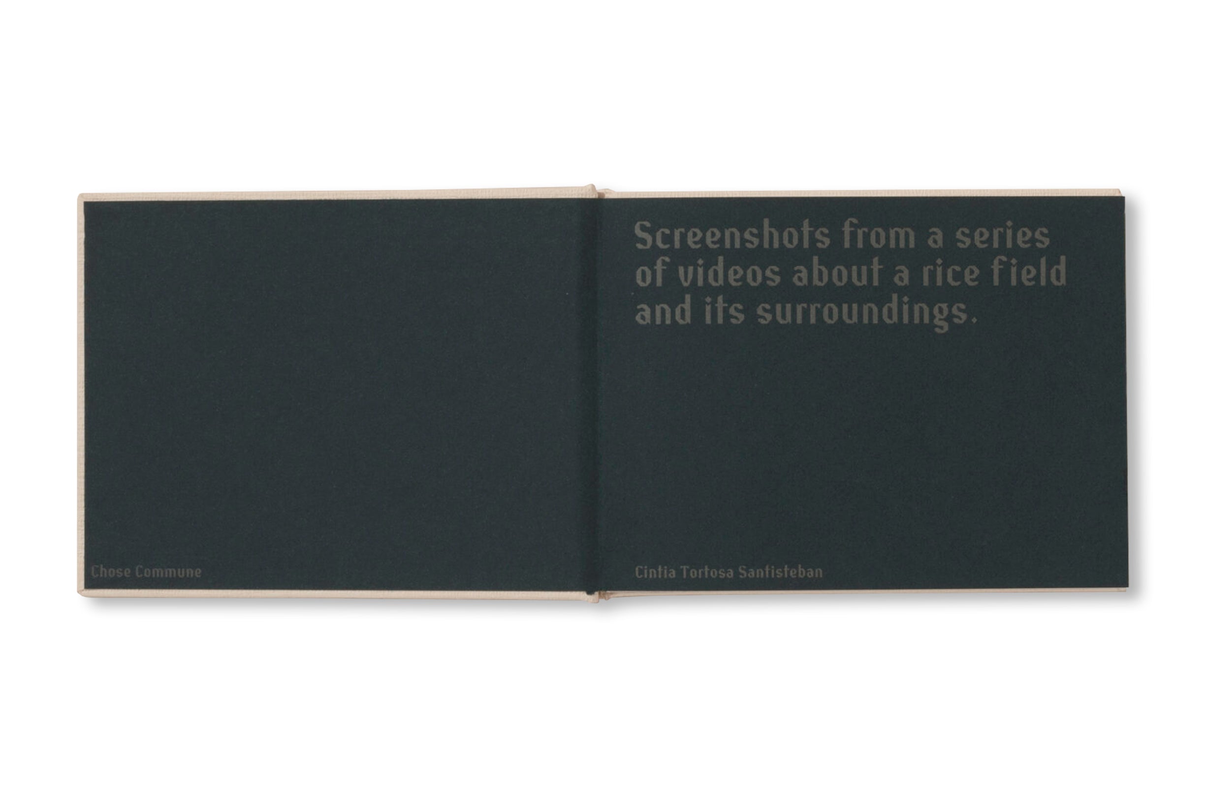SCREENSHOTS FROM A SERIES OF VIDEOS ABOUT A RICE FIELD AND ITS SURROUNDINGS by Cintia Tortosa Santisteban