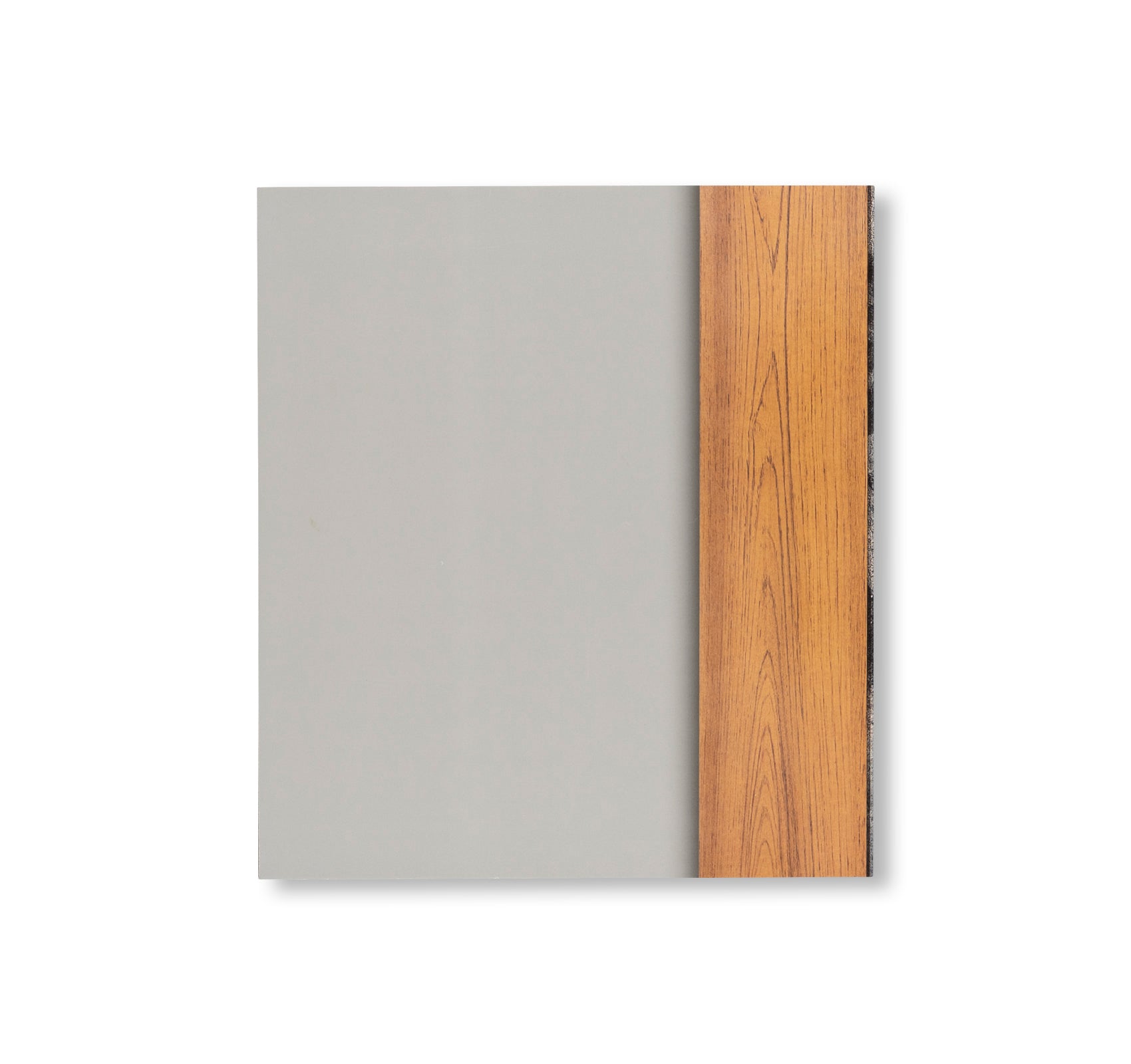 RICHARD ARTSCHWAGER (2021) by Richard Artschwager