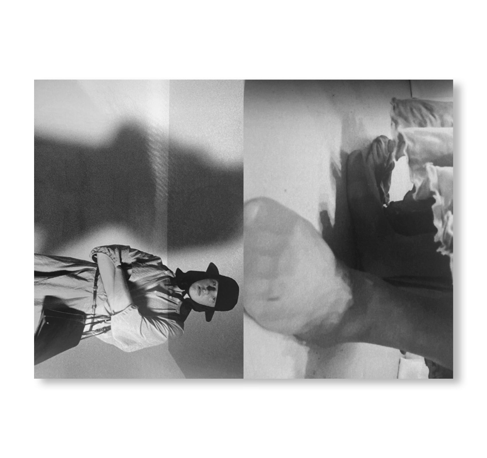 A CONGREGATION OF CLOUDS - N° 5 LE PAVILLON DE L’ÉLÉGANCE by Chaumont–Zaerpour [INDIVIDUAL ZINES]