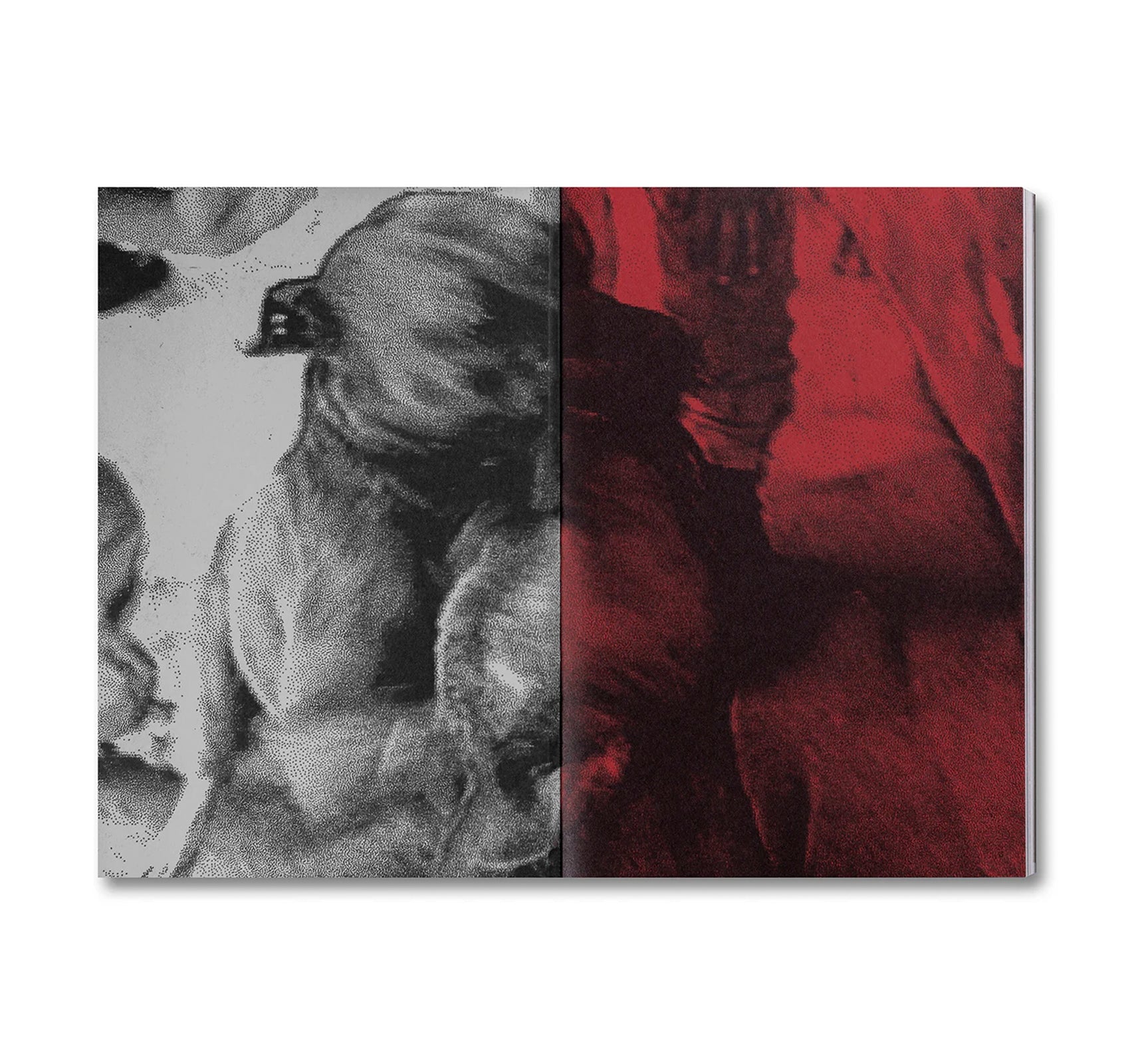 UNLEASHING AMORES PERROS by Fernando Llanos [ENGLISH EDITION]