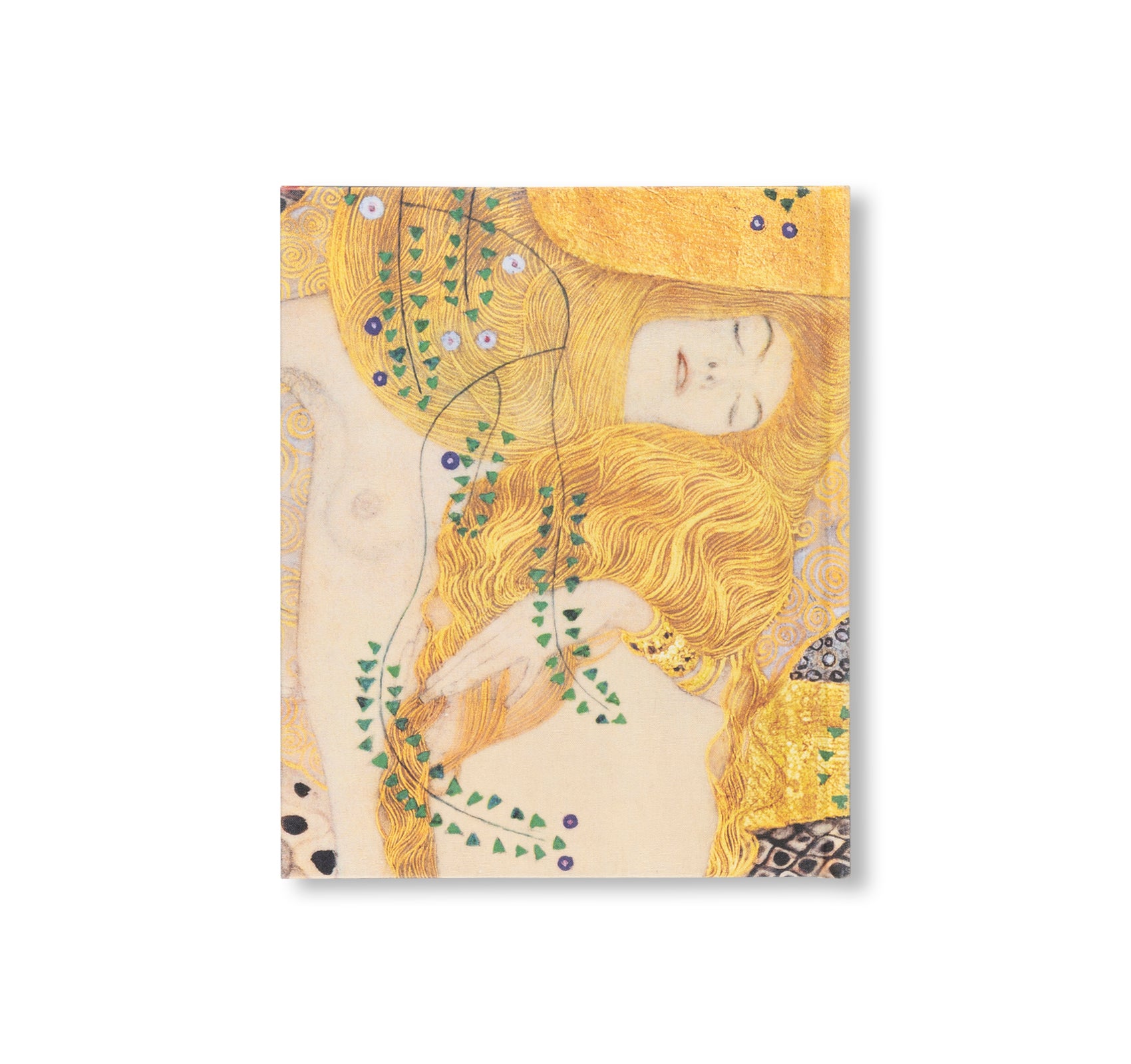 KLIMT - THE BIGGER PICTURE by Philippe Thiébaut