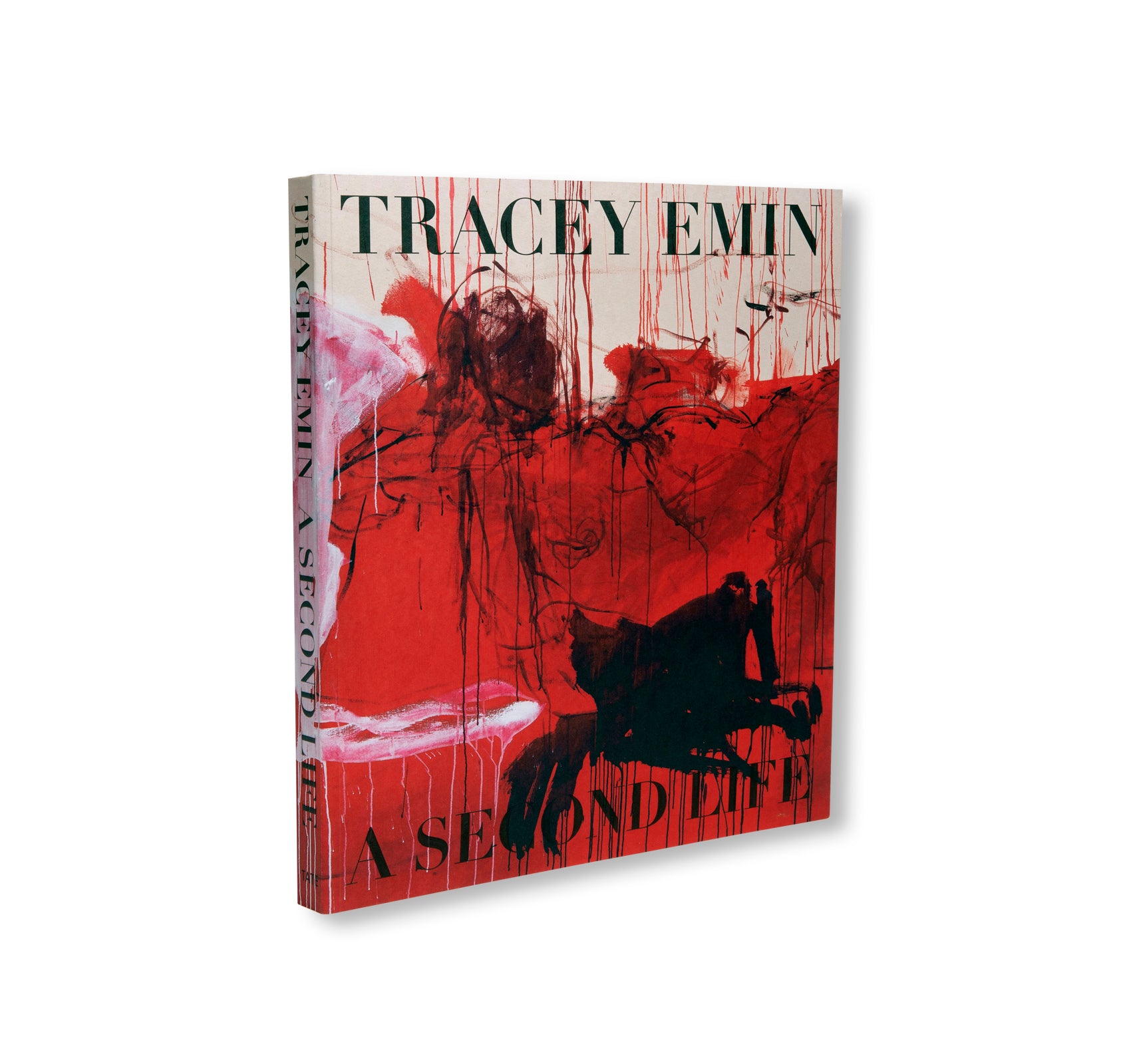 A SECOND LIFE by Tracey Emin
