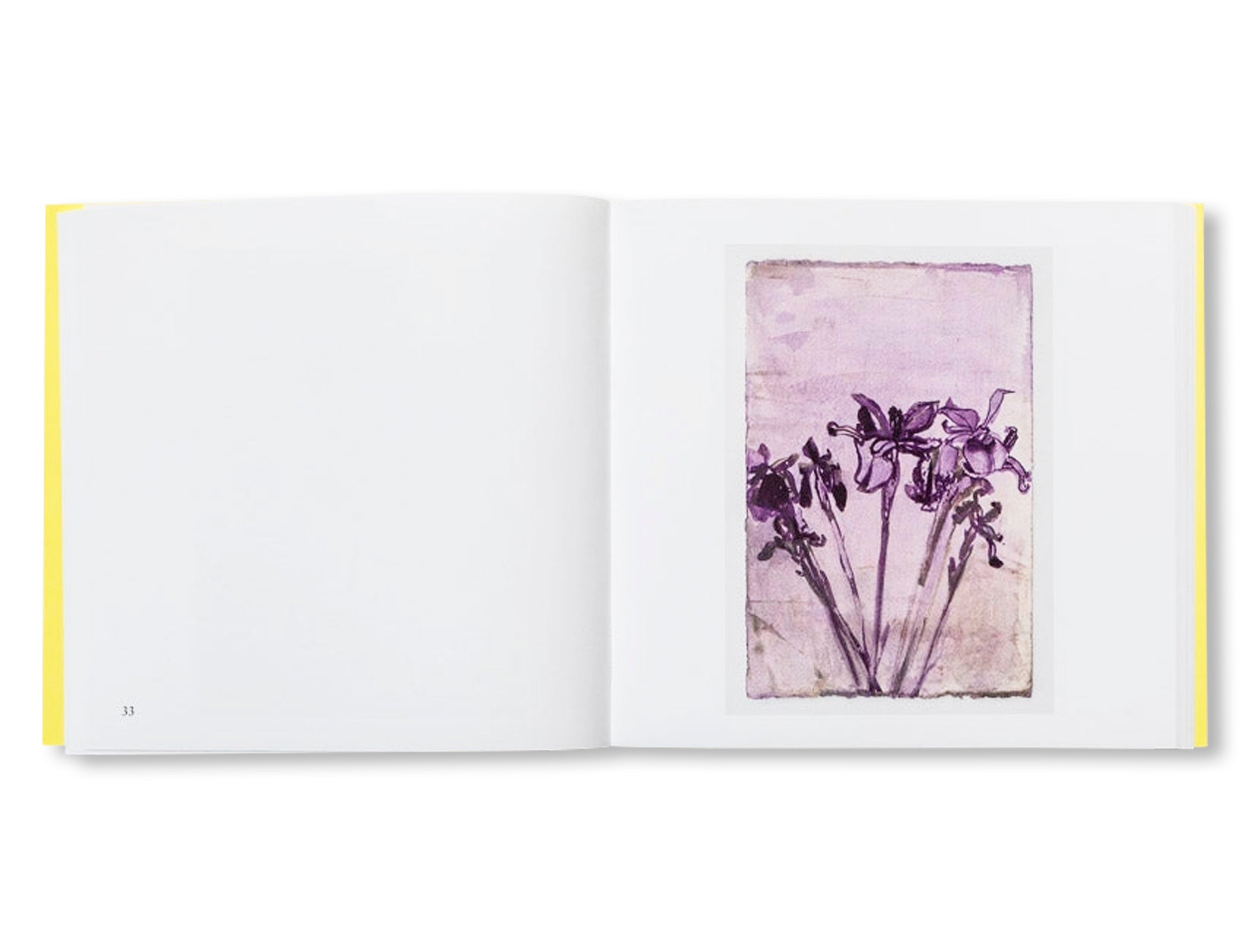 A SUMMER by Amy Sillman