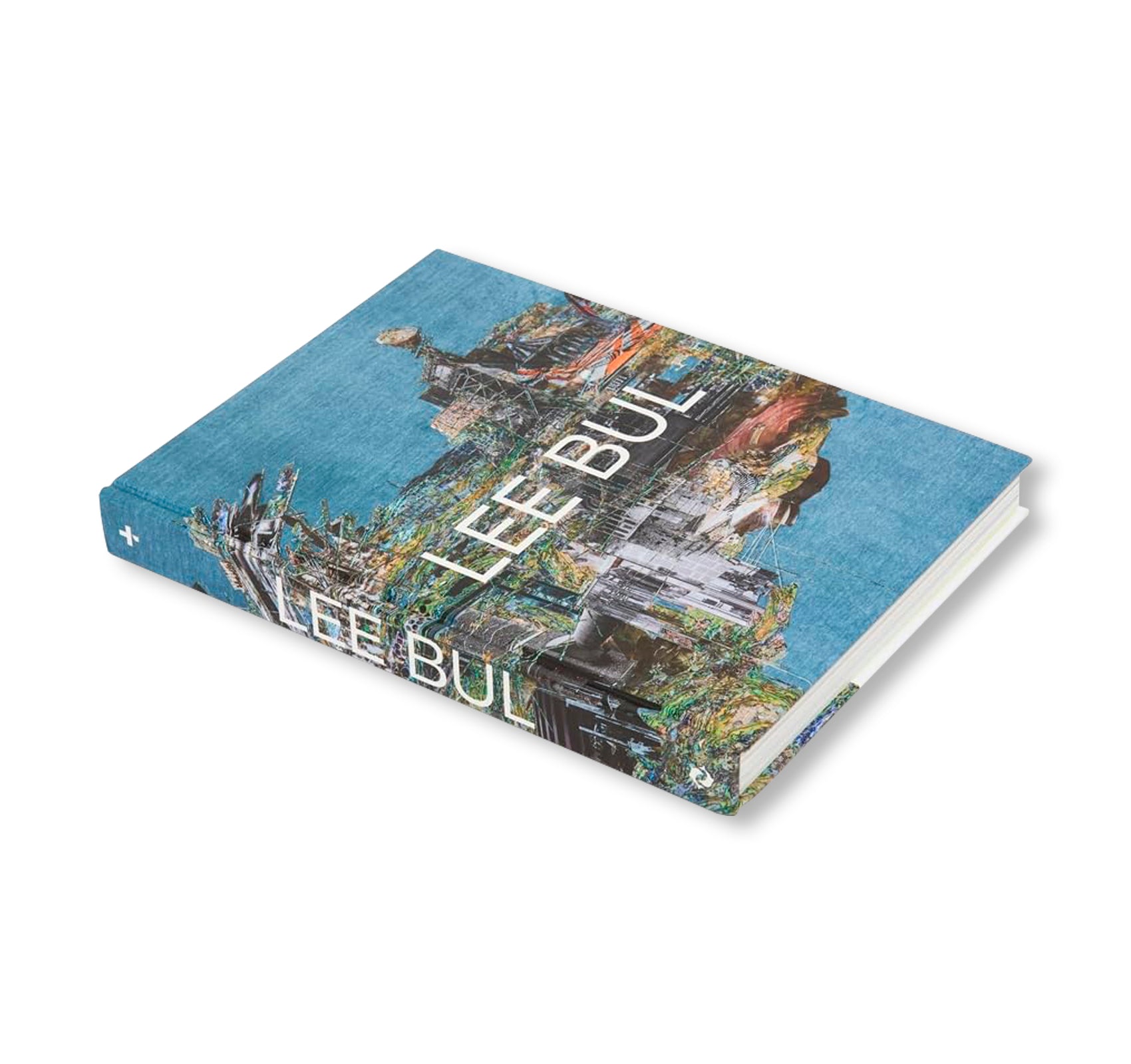 LEE BUL: LIFE AND WORK by Lee Bul