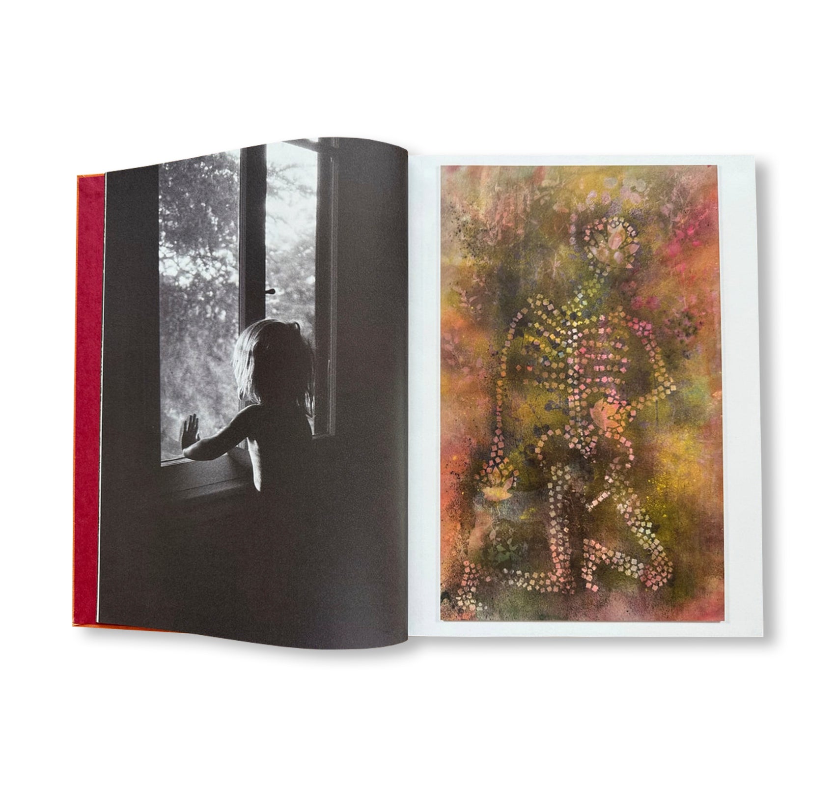 AFTER LIFE by Sam Falls