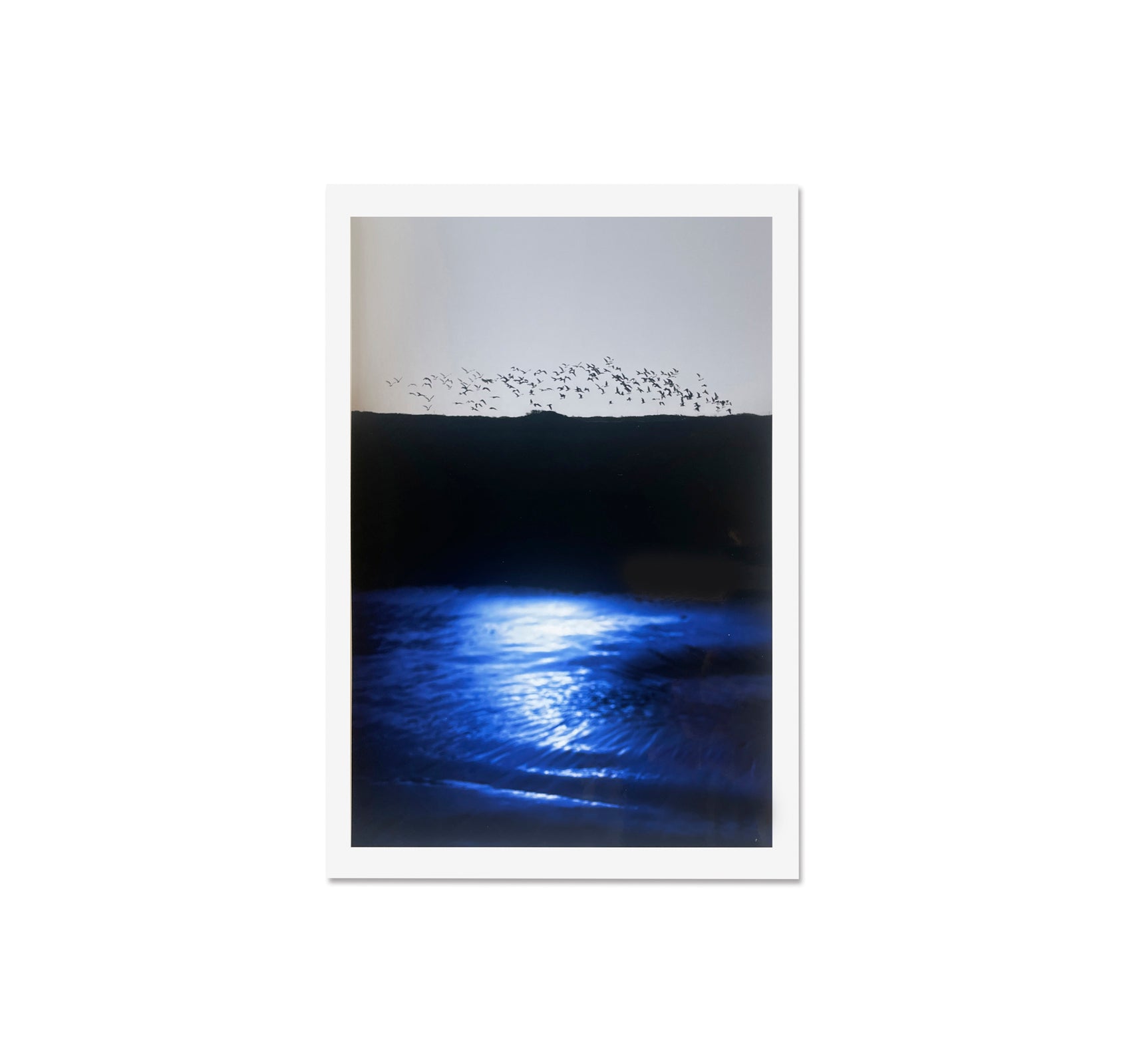 SEQUENCES by Yuichiro Noda [SPECIAL EDITION]