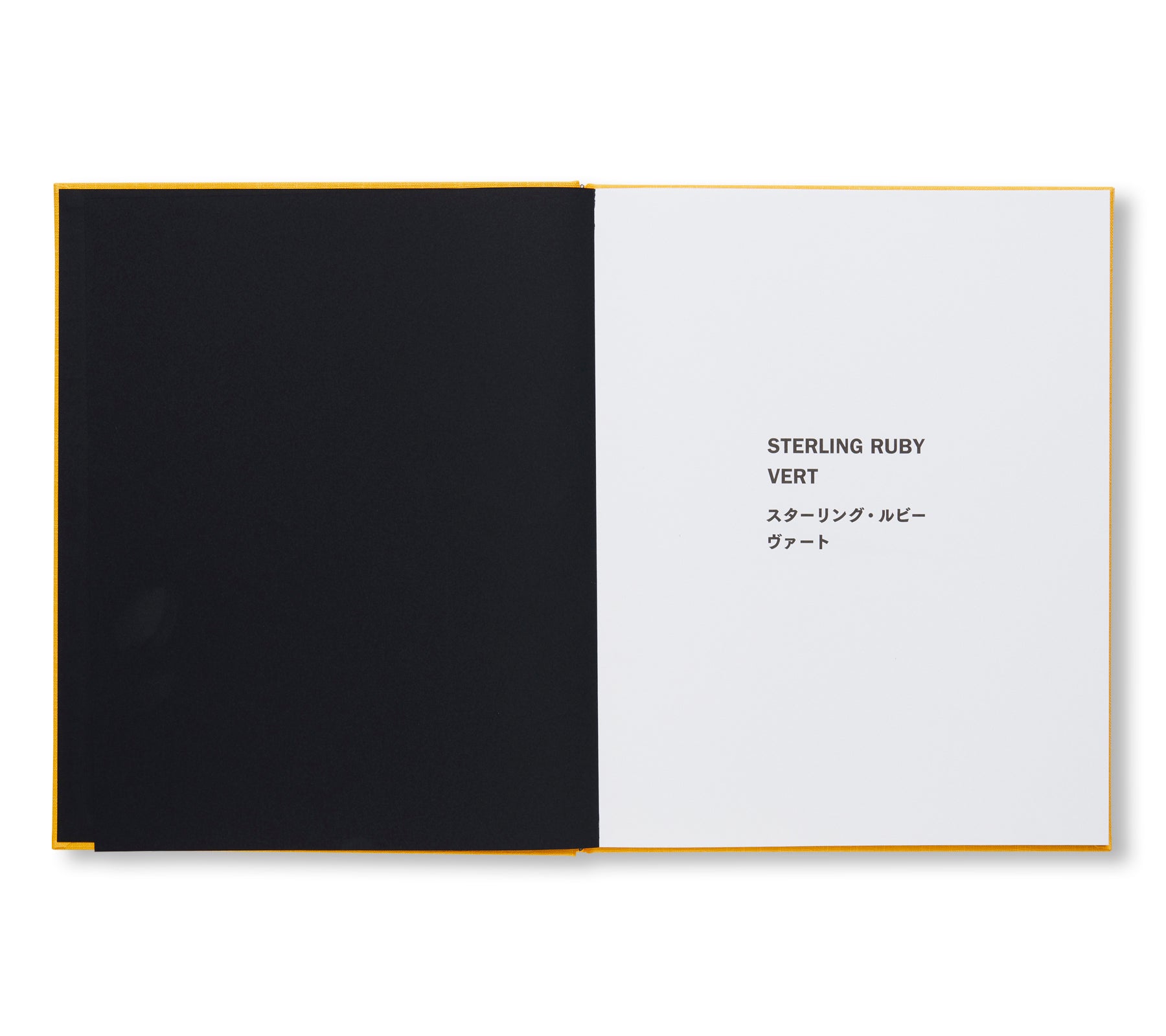 VERT by Sterling Ruby [SIGNED / NUMBERED]