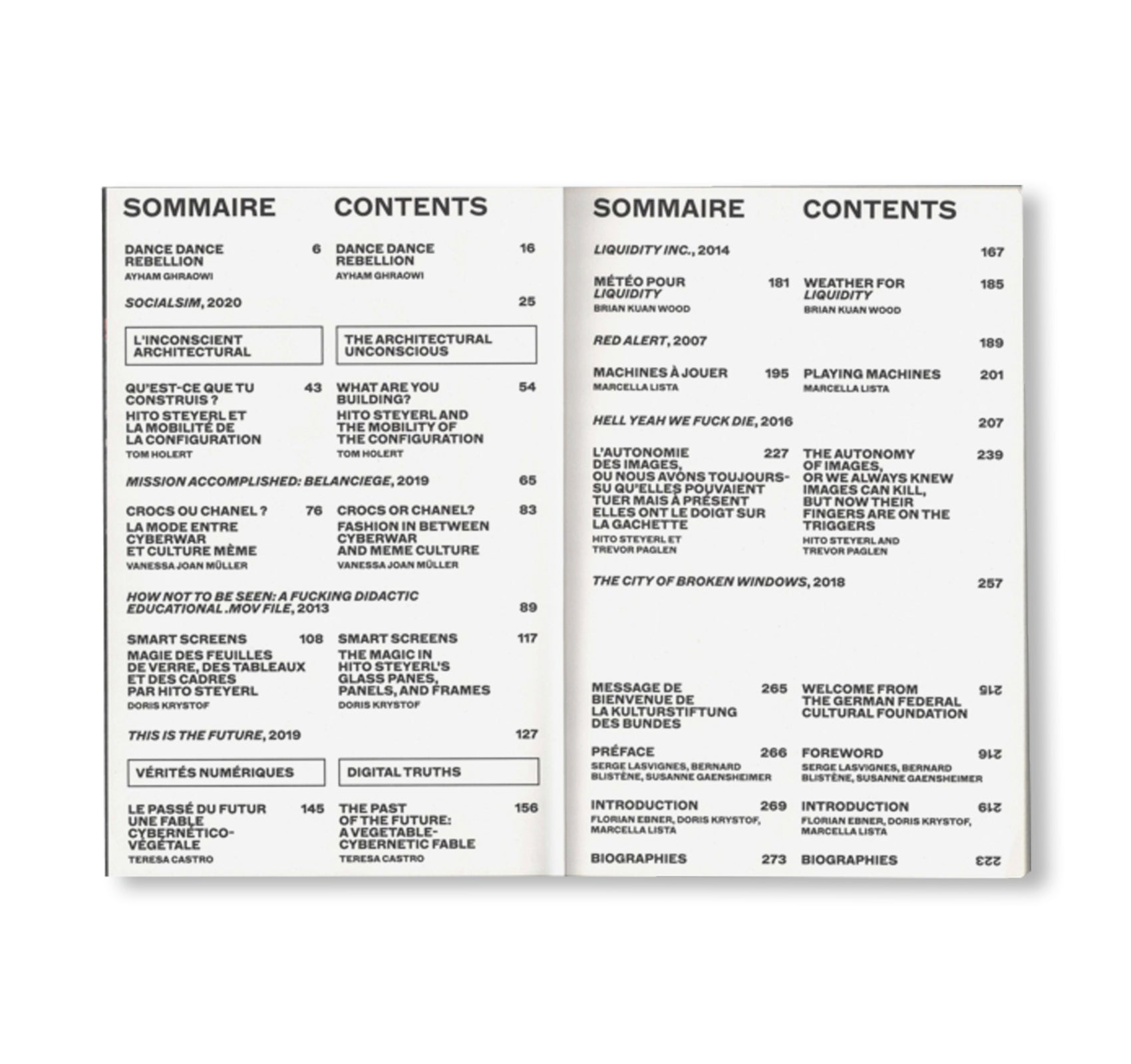 I WILL SURVIVE by Hito Steyerl [ENGLISH / FRENCH EDITION]