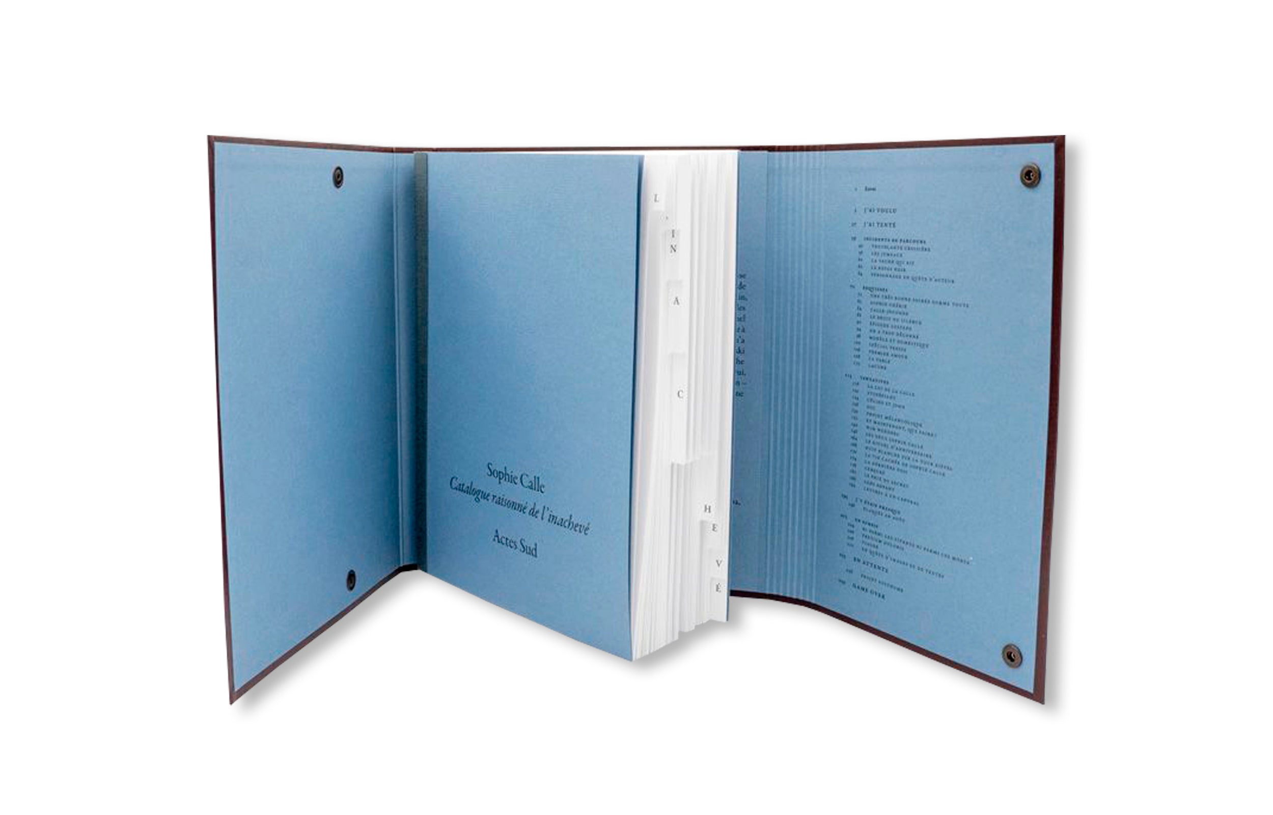 CATALOGUE RAISONNÉ OF THE UNFINISHED by Sophie Calle
