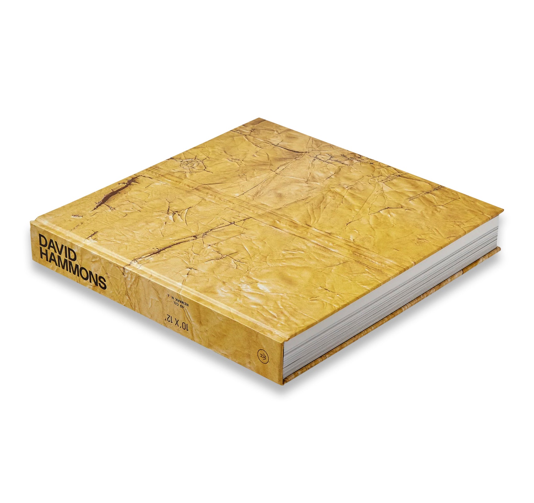 DAVID HAMMONS by David Hammons (HAUSER & WIRTH)