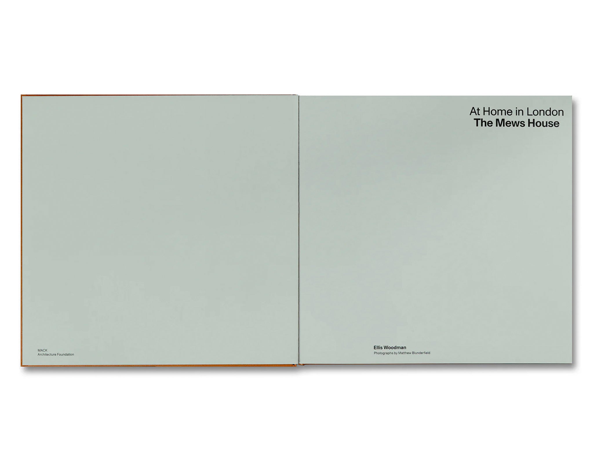 AT HOME IN LONDON: THE MEWS HOUSE by Ellis Woodman