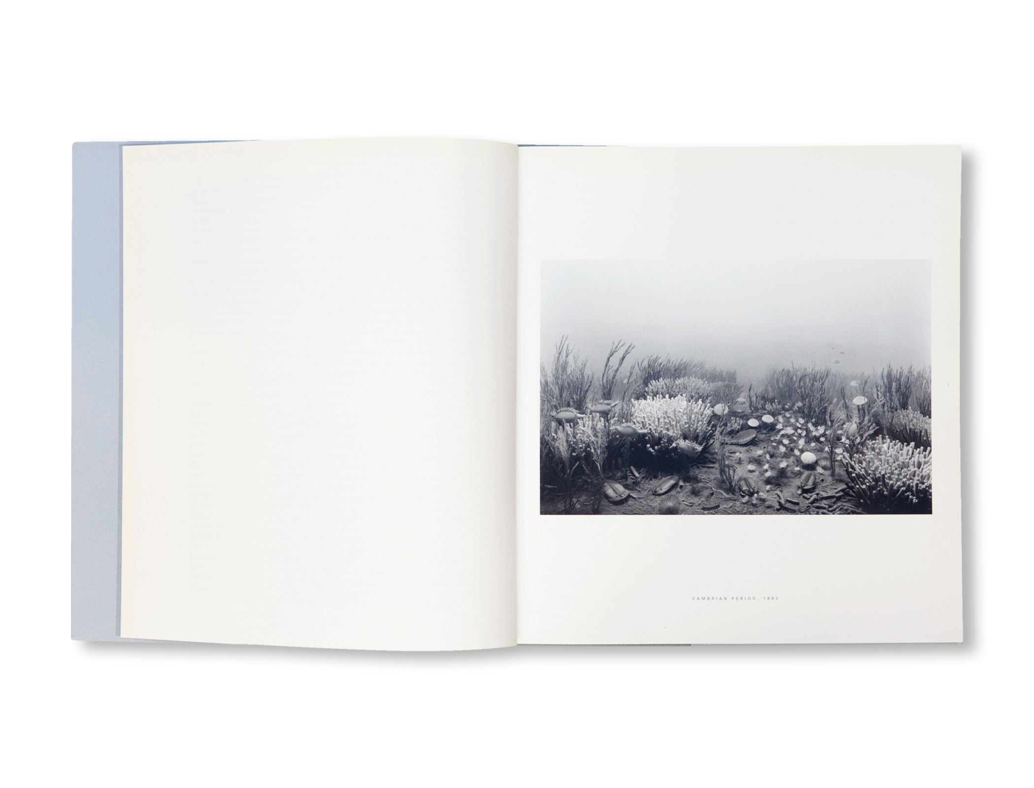 DIORAMAS by Hiroshi Sugimoto